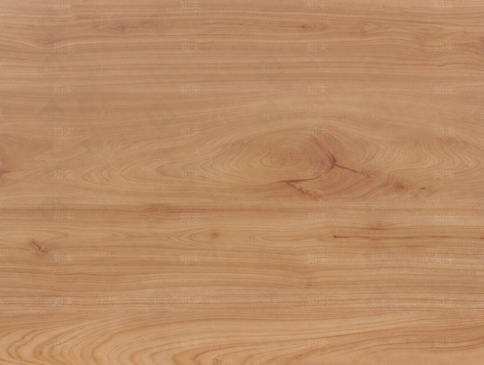浅色原木纹贴图下载【ID:1142658890】