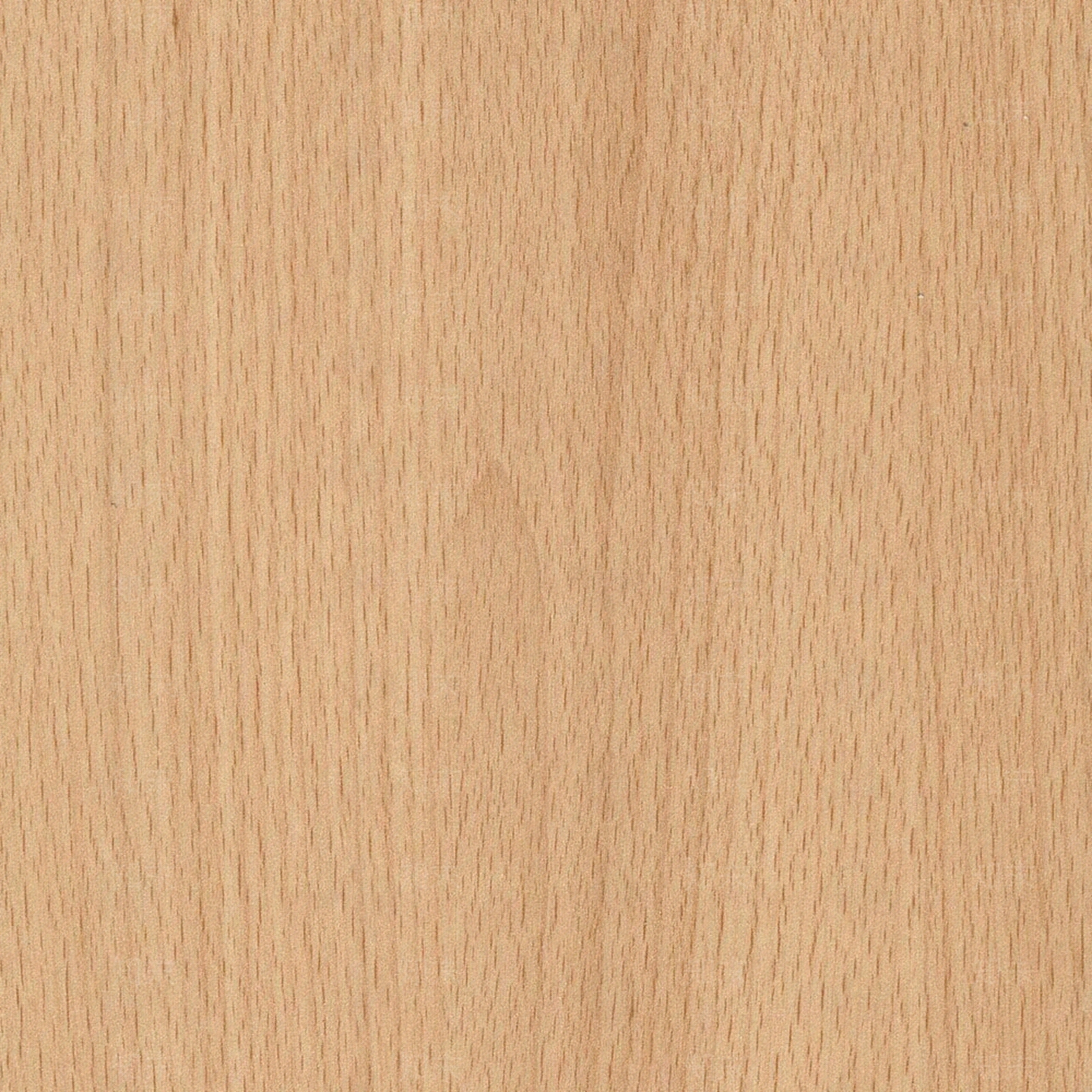 浅色原木纹理贴图下载【ID:1142659180】