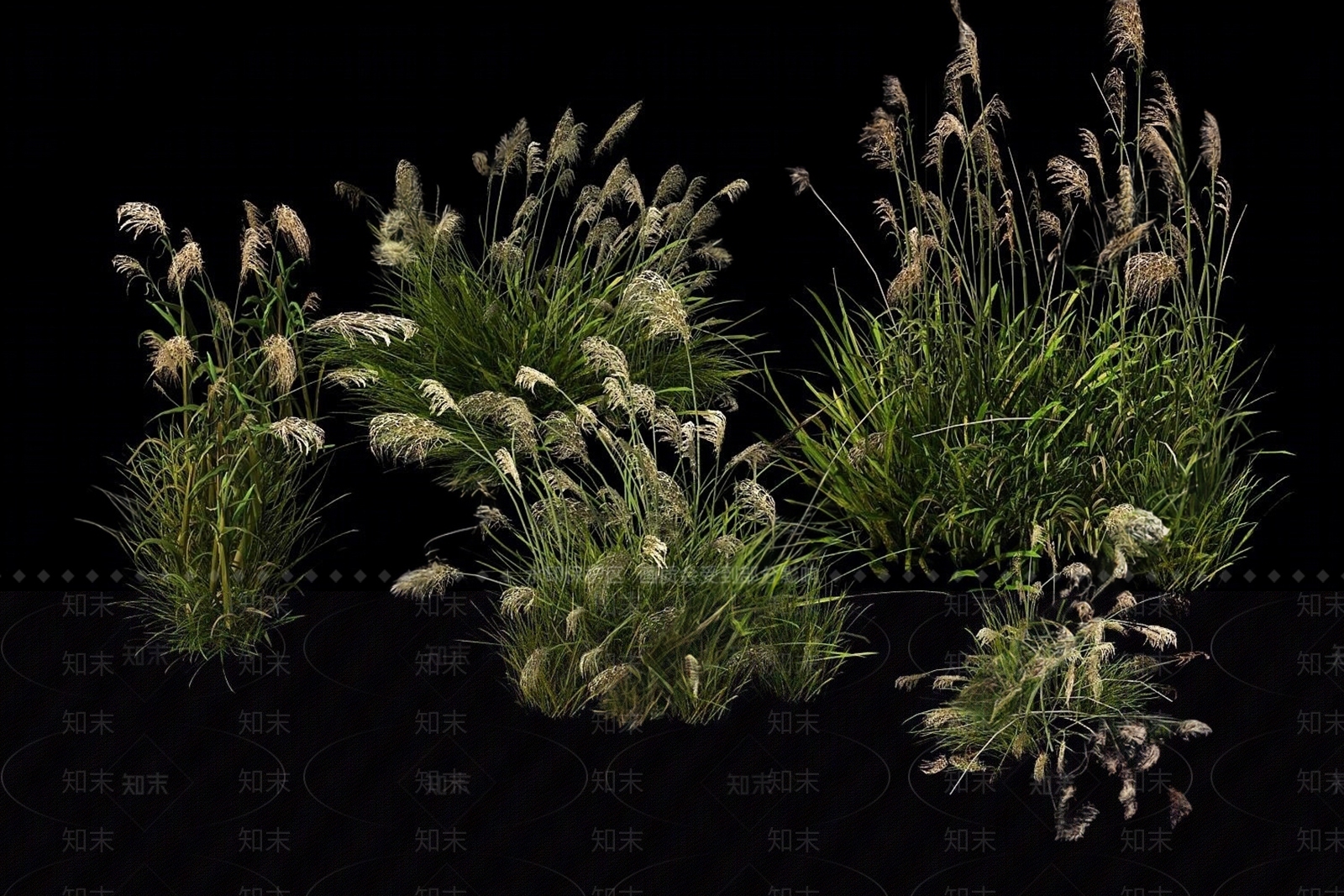 花草SU模型草图