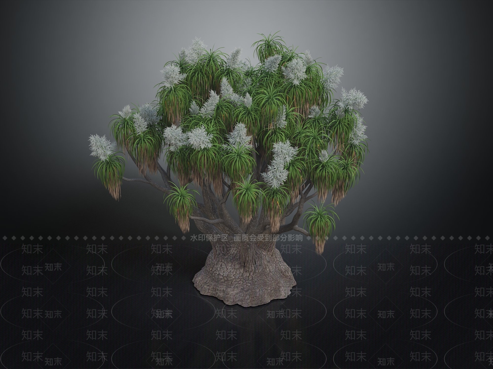 沙漠植物3D模型下载【ID:1142674052】