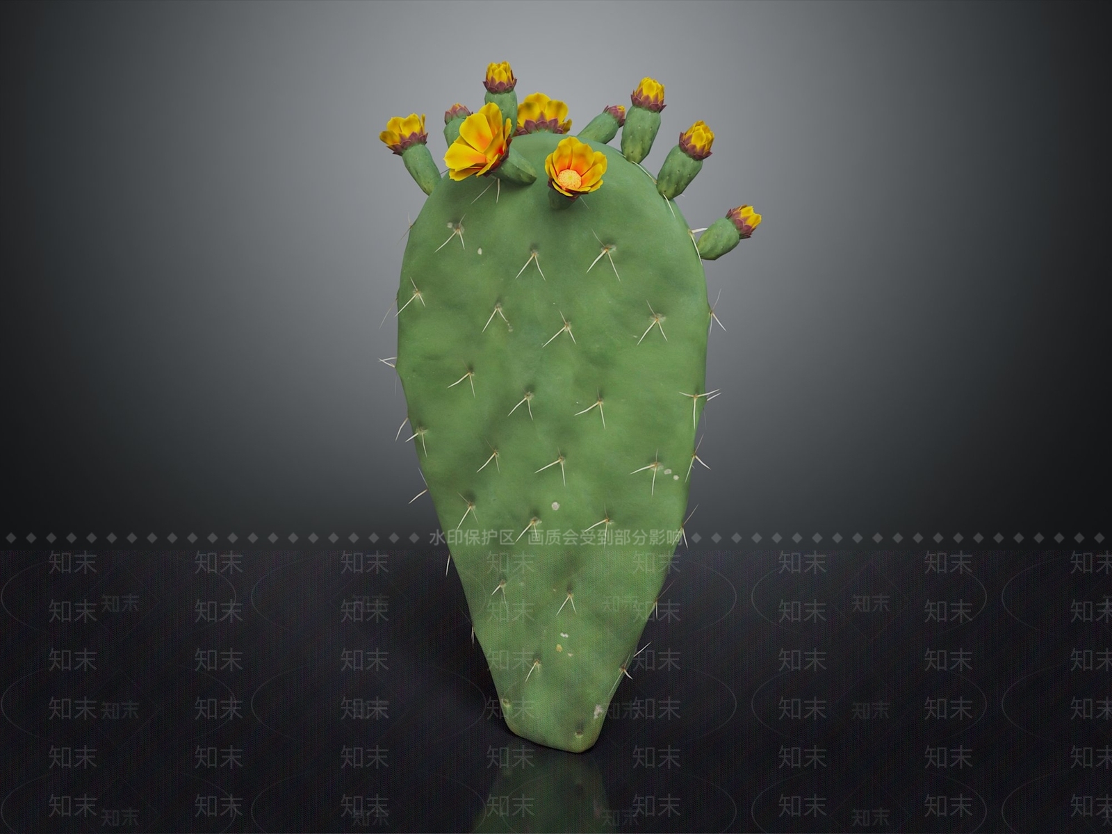 梨果仙人掌3D模型下载【ID:1142674126】