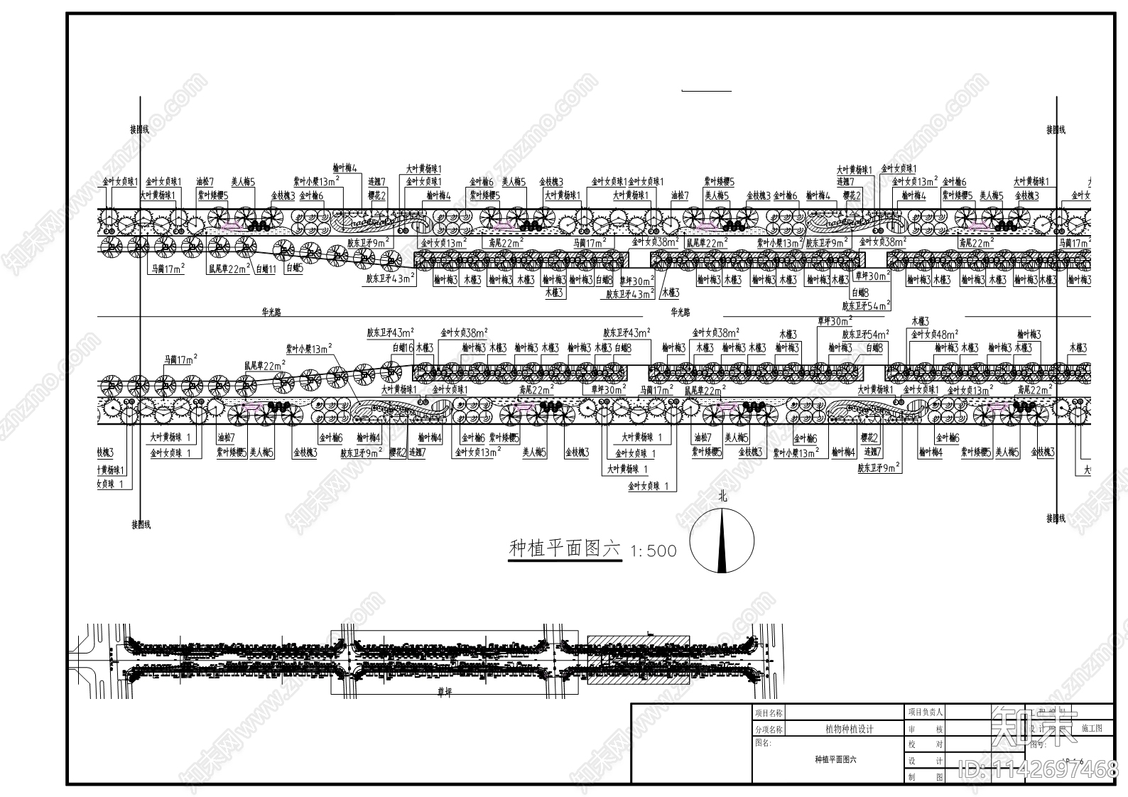 华光路绿化工程cad施工图下载【ID:1142697468】