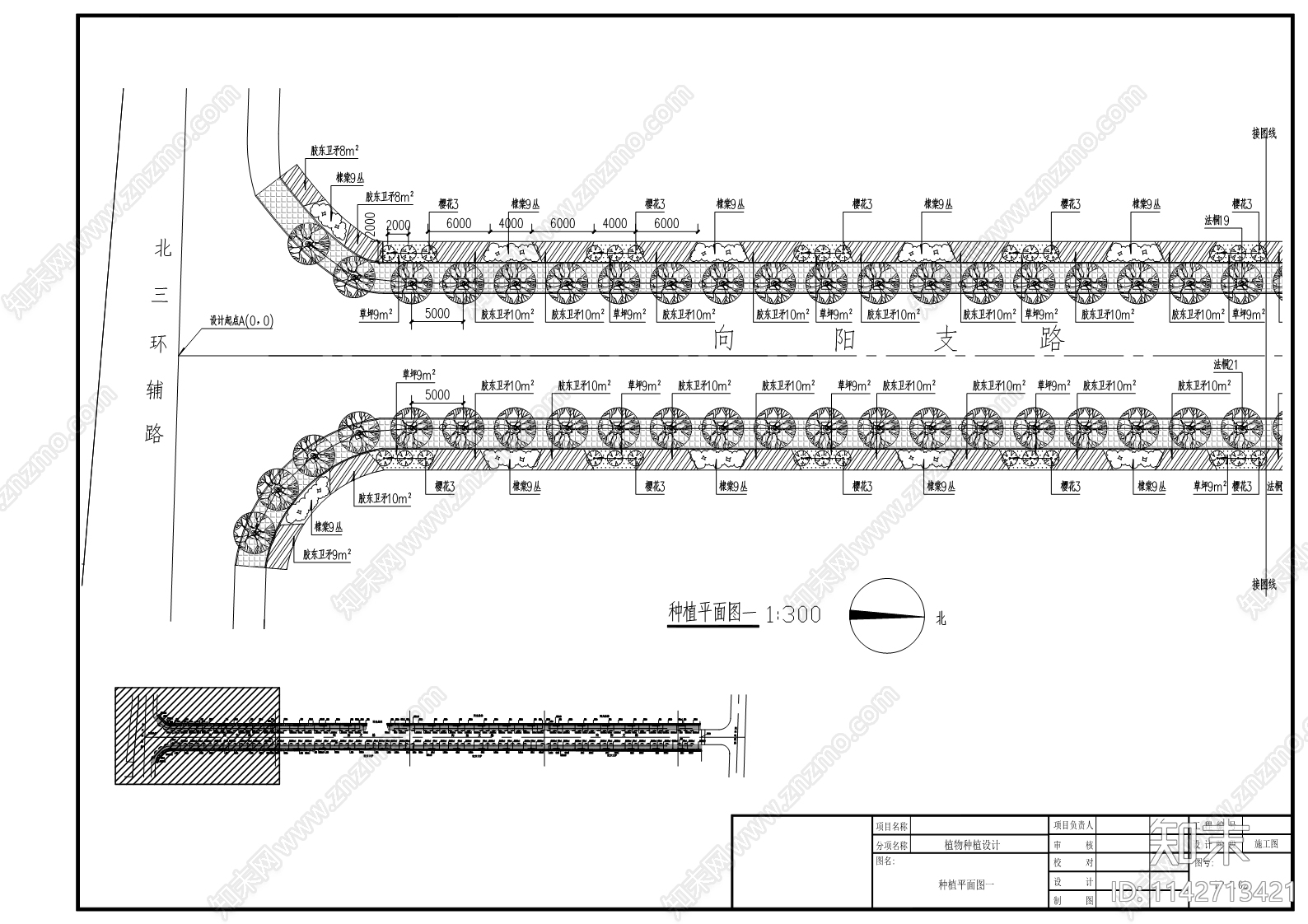 向阳大街西侧支路绿化工程cad施工图下载【ID:1142713421】