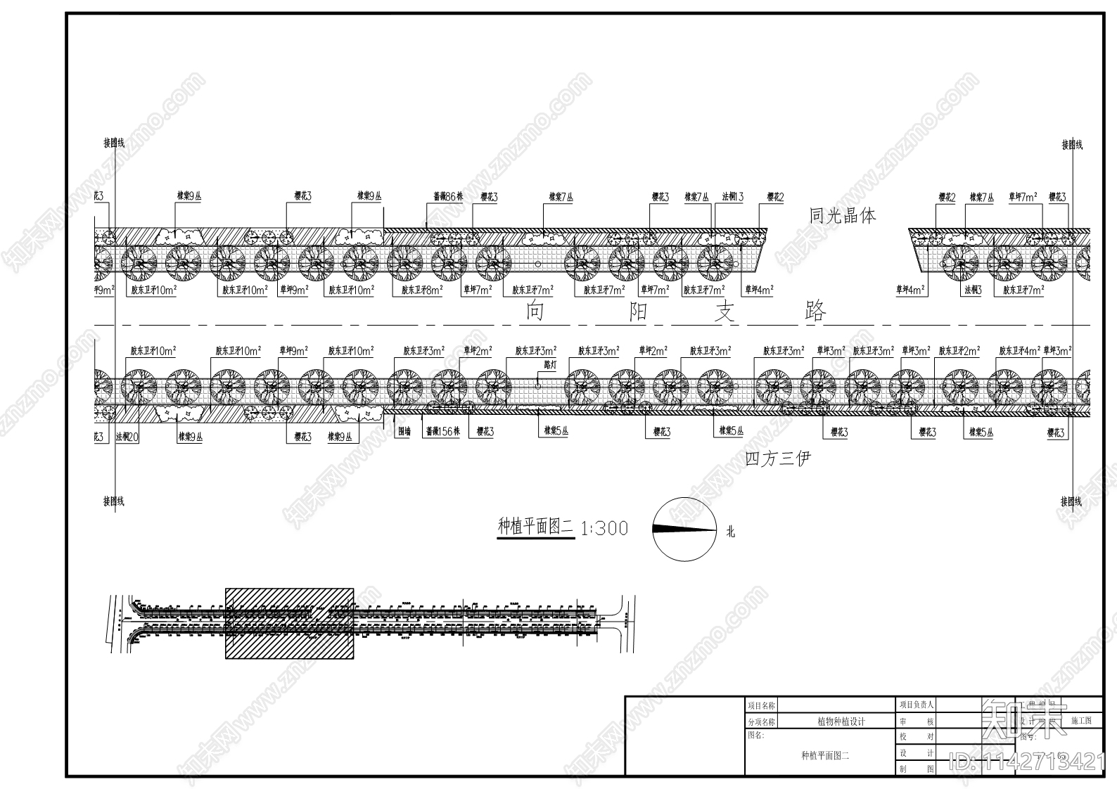 向阳大街西侧支路绿化工程cad施工图下载【ID:1142713421】