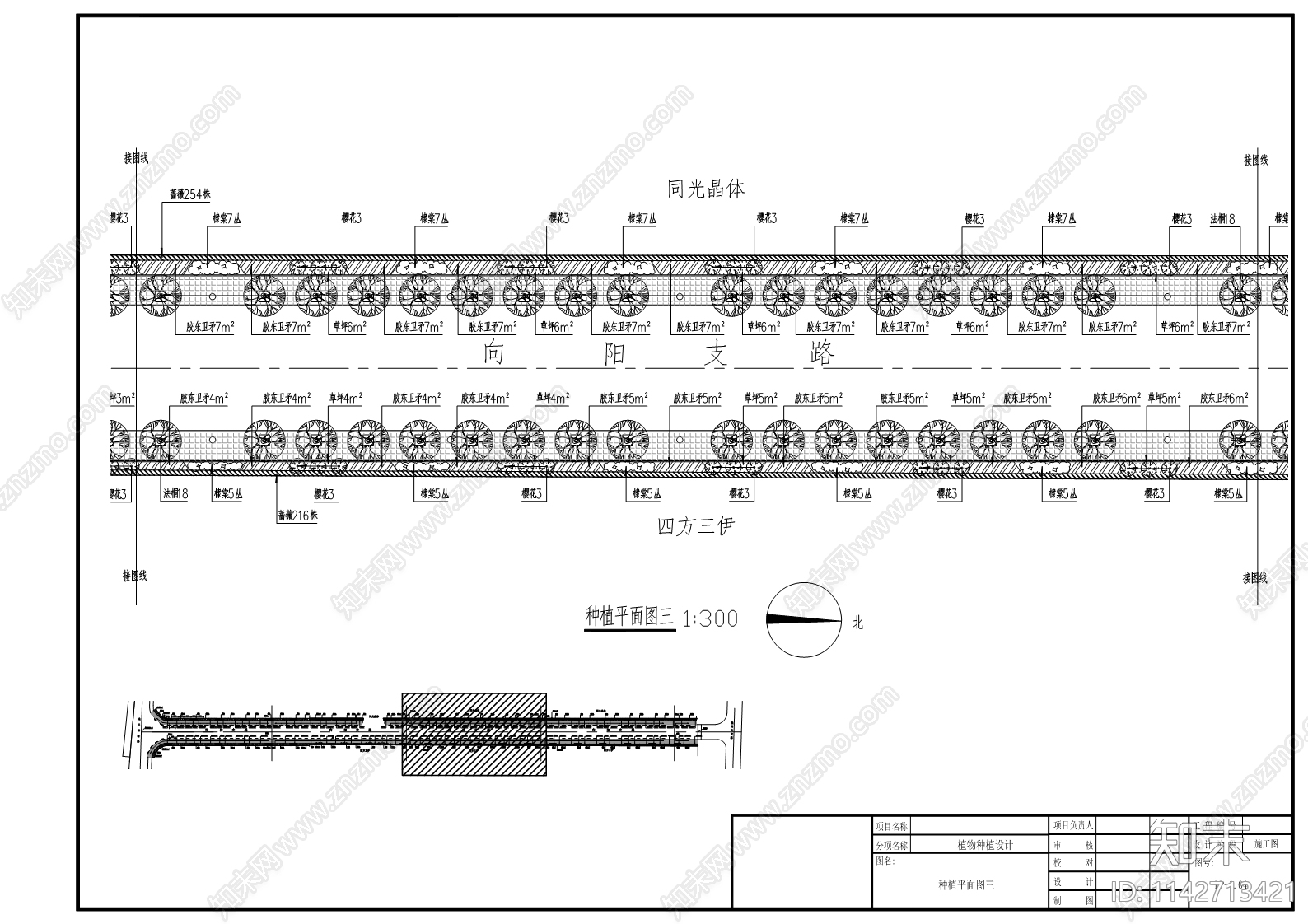 向阳大街西侧支路绿化工程cad施工图下载【ID:1142713421】