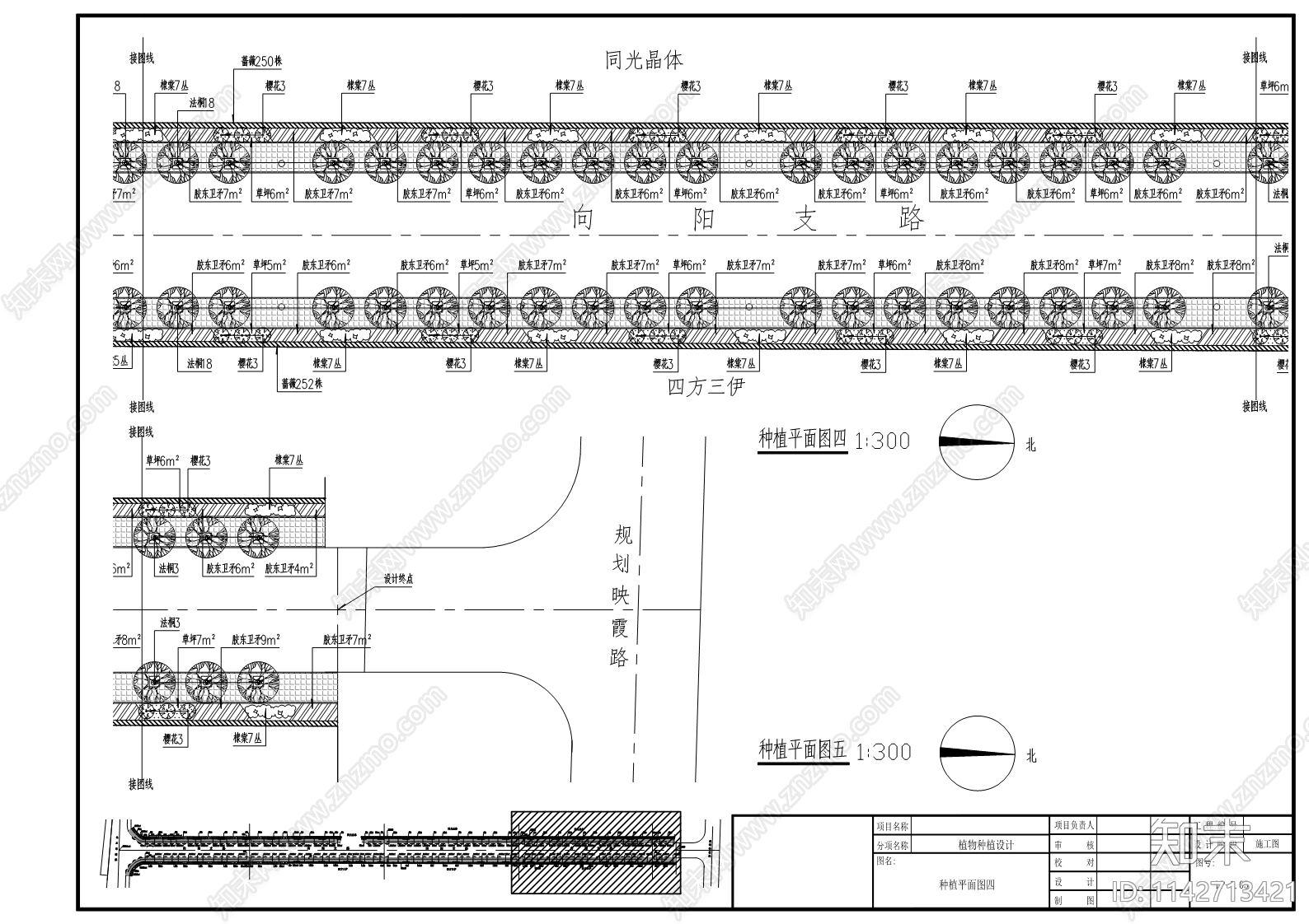 向阳大街西侧支路绿化工程cad施工图下载【ID:1142713421】