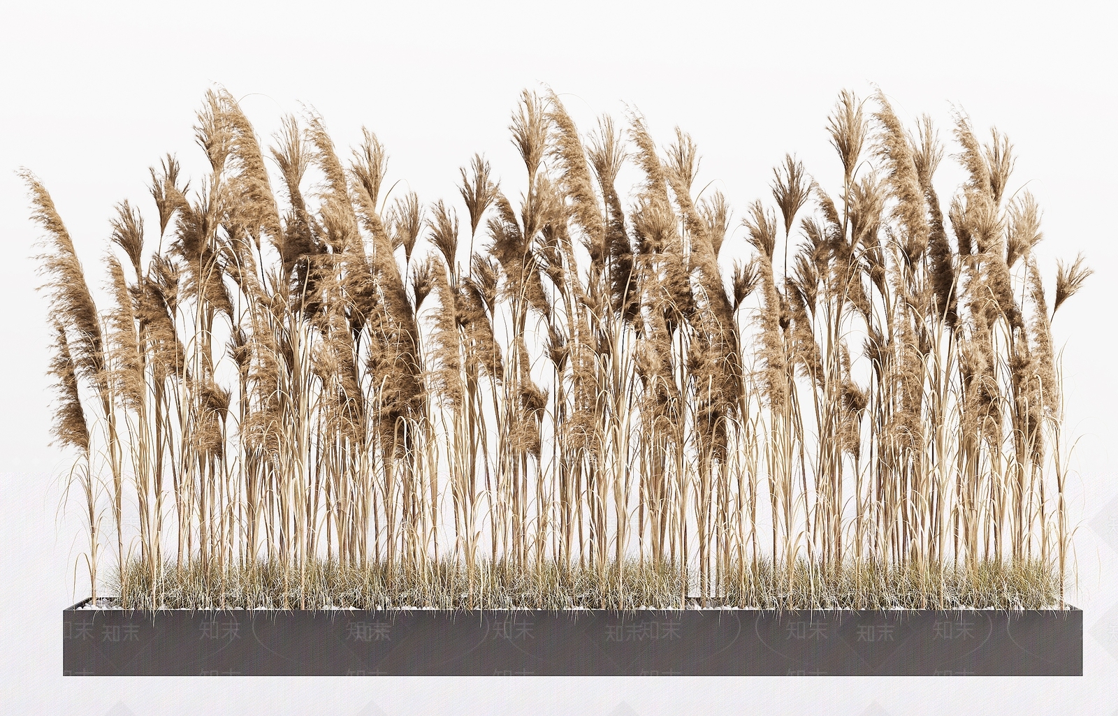 芦苇干草堆组合SU模型下载【ID:1142813641】