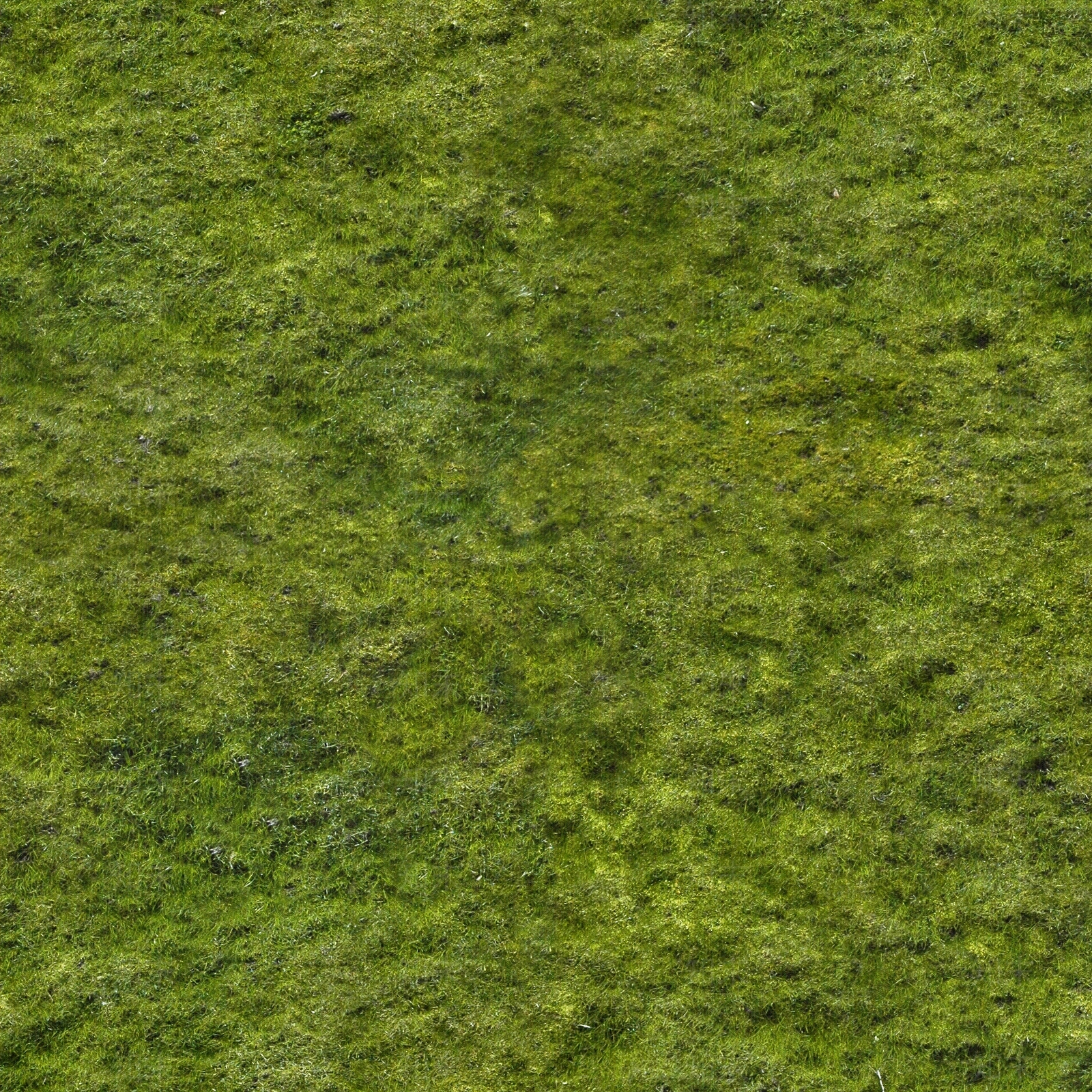 高清苔藓野草植被草地草坪草皮草坡泥土地面贴图下载【ID:1142884661】