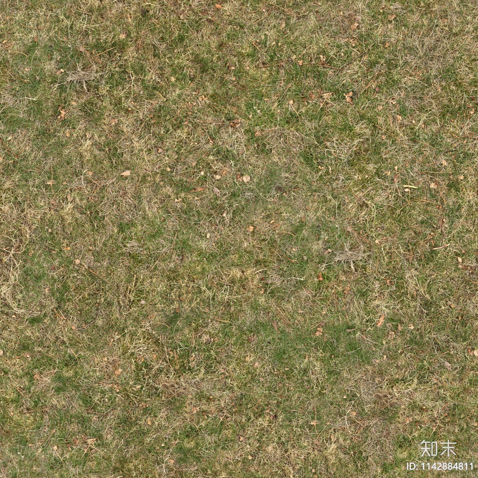 无缝枯草苔藓泥土土壤草地草坪草皮地面贴图下载【ID:1142884811】