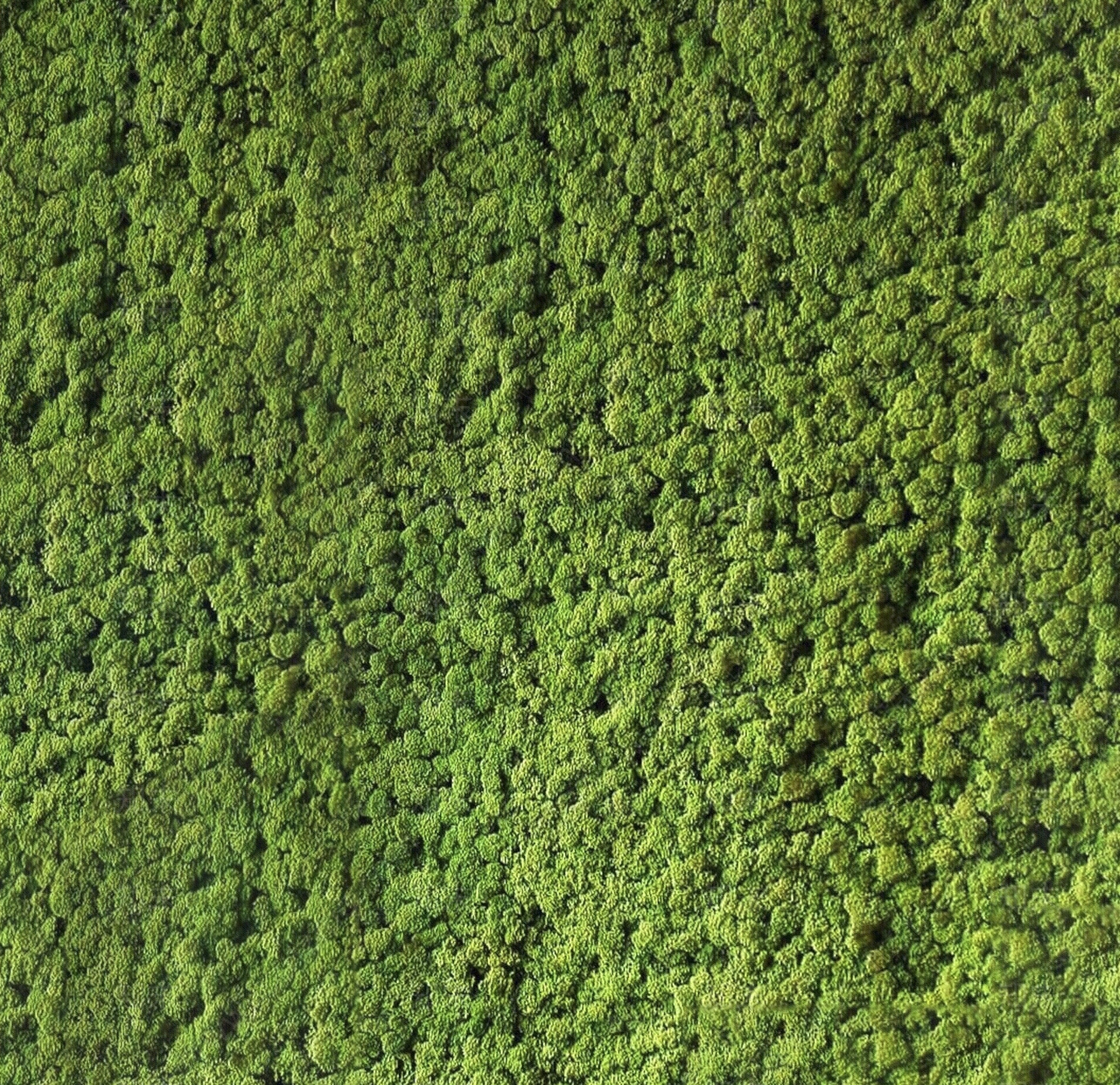 无缝绿色草地灌木绿植墙篱笆草地草皮地面贴图下载【ID:1142887937】