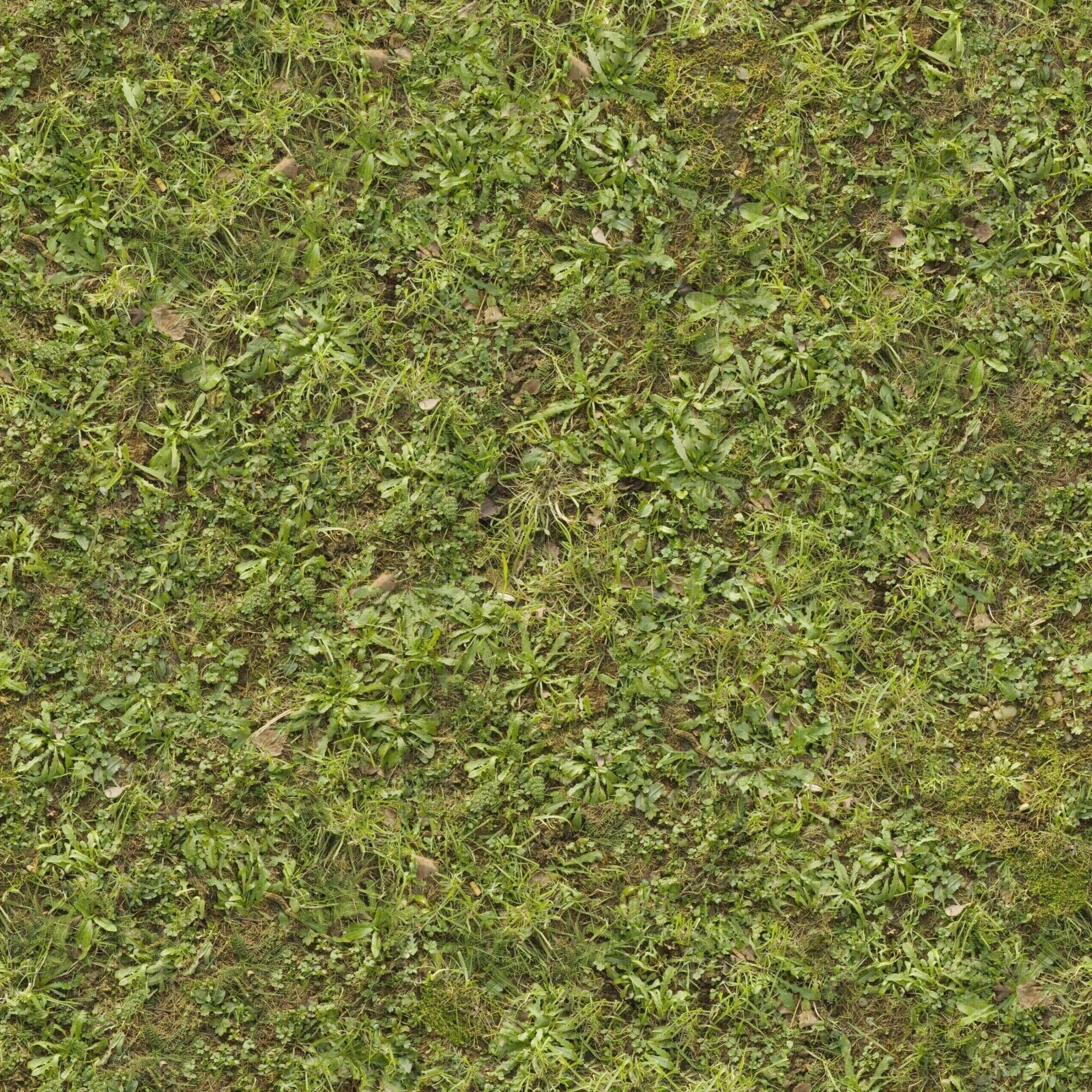 无缝绿植植被绿化草坪草地草皮地面贴图下载【ID:1142889326】