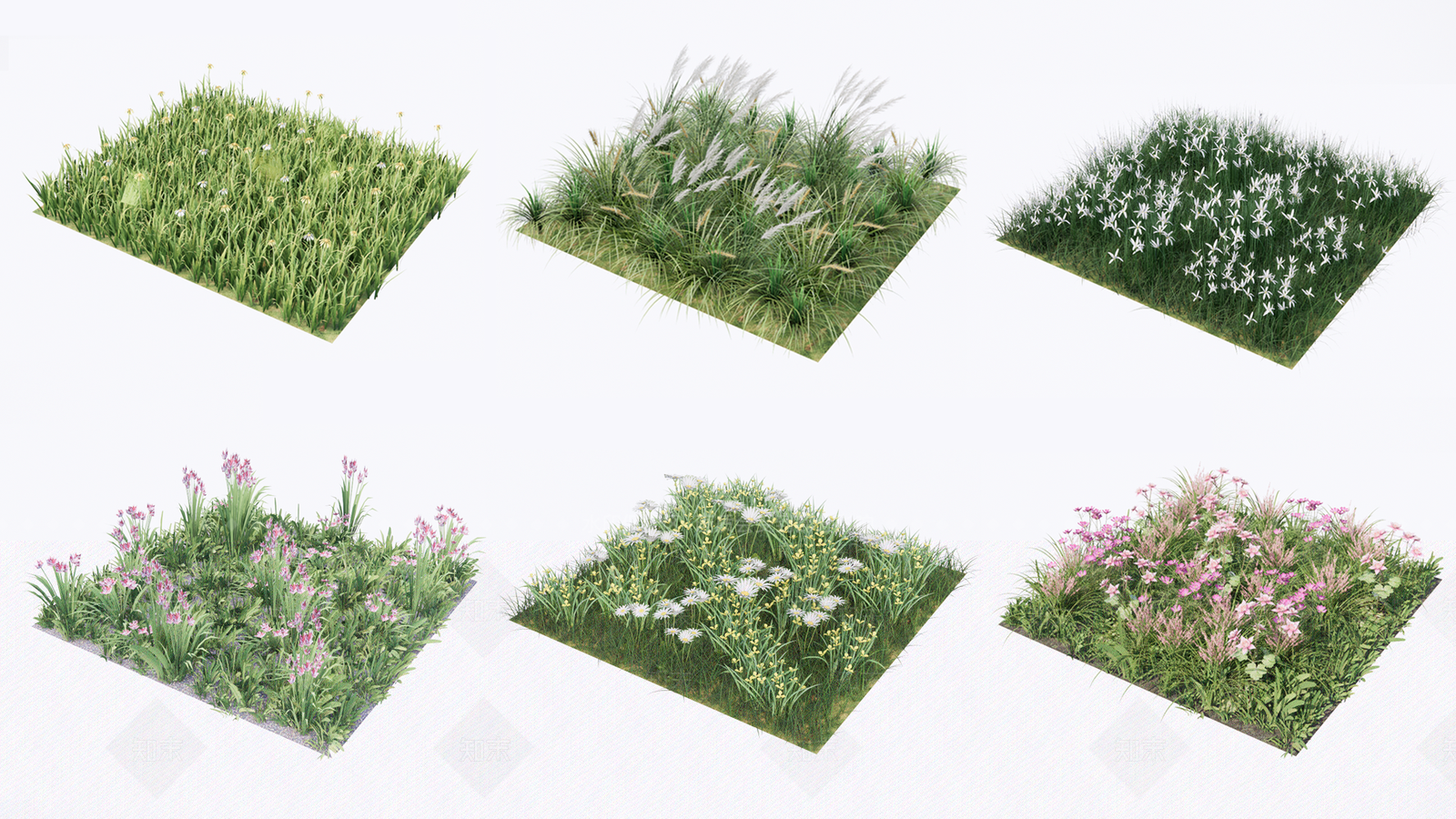 地被植物草花素材SU模型下载【ID:1142903997】
