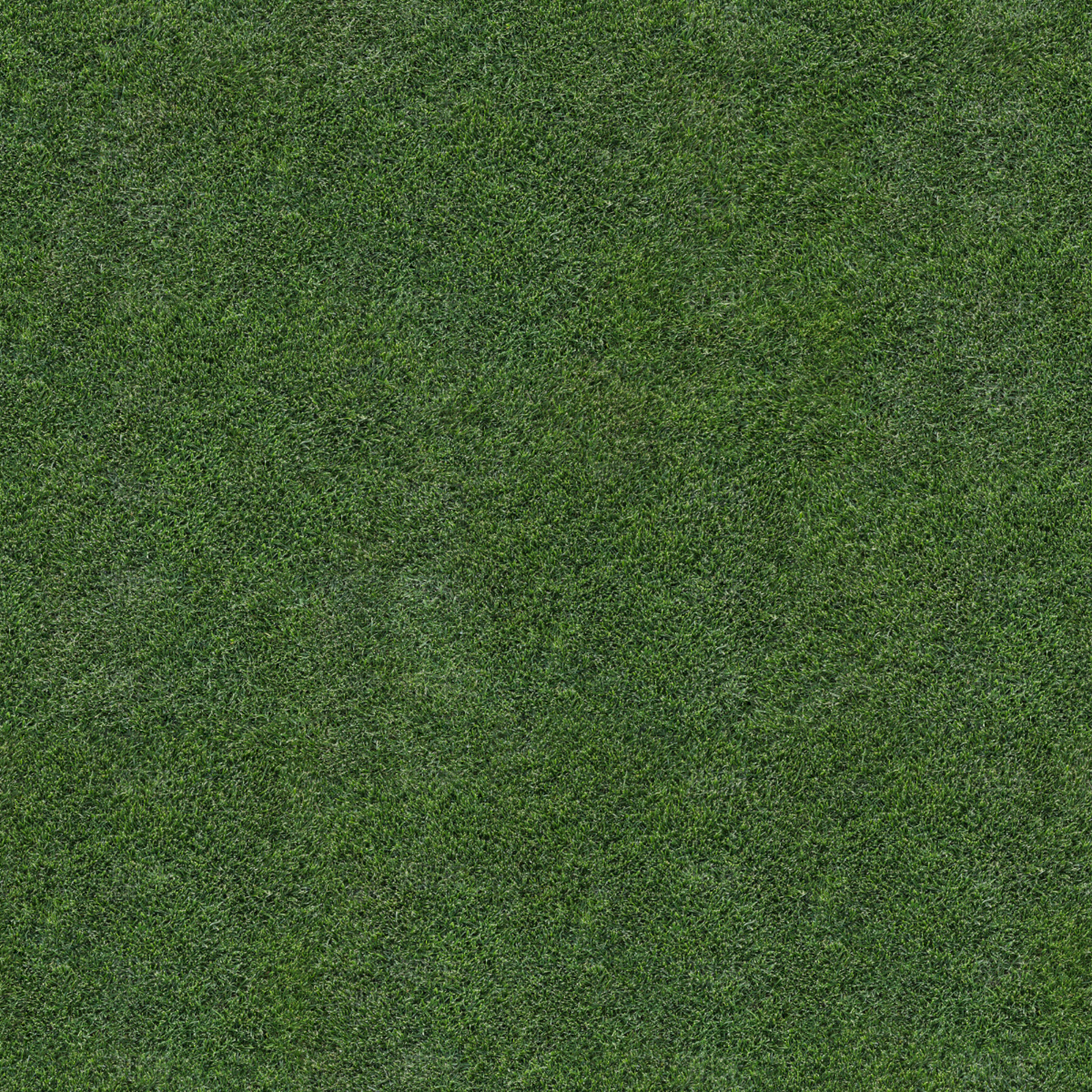 人造草皮贴图下载【ID:1142916916】