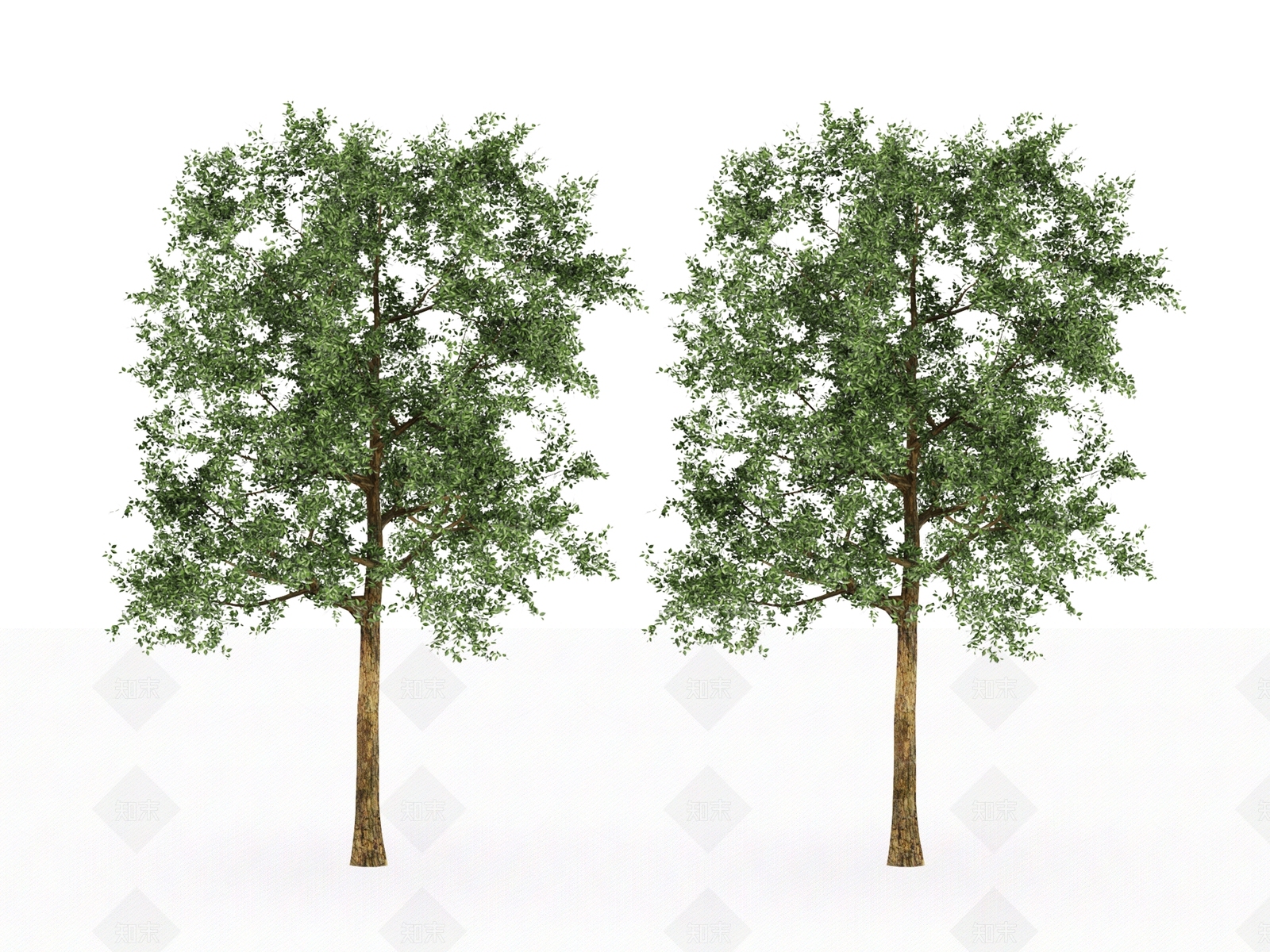 其他树木3D模型下载【ID:1142919640】