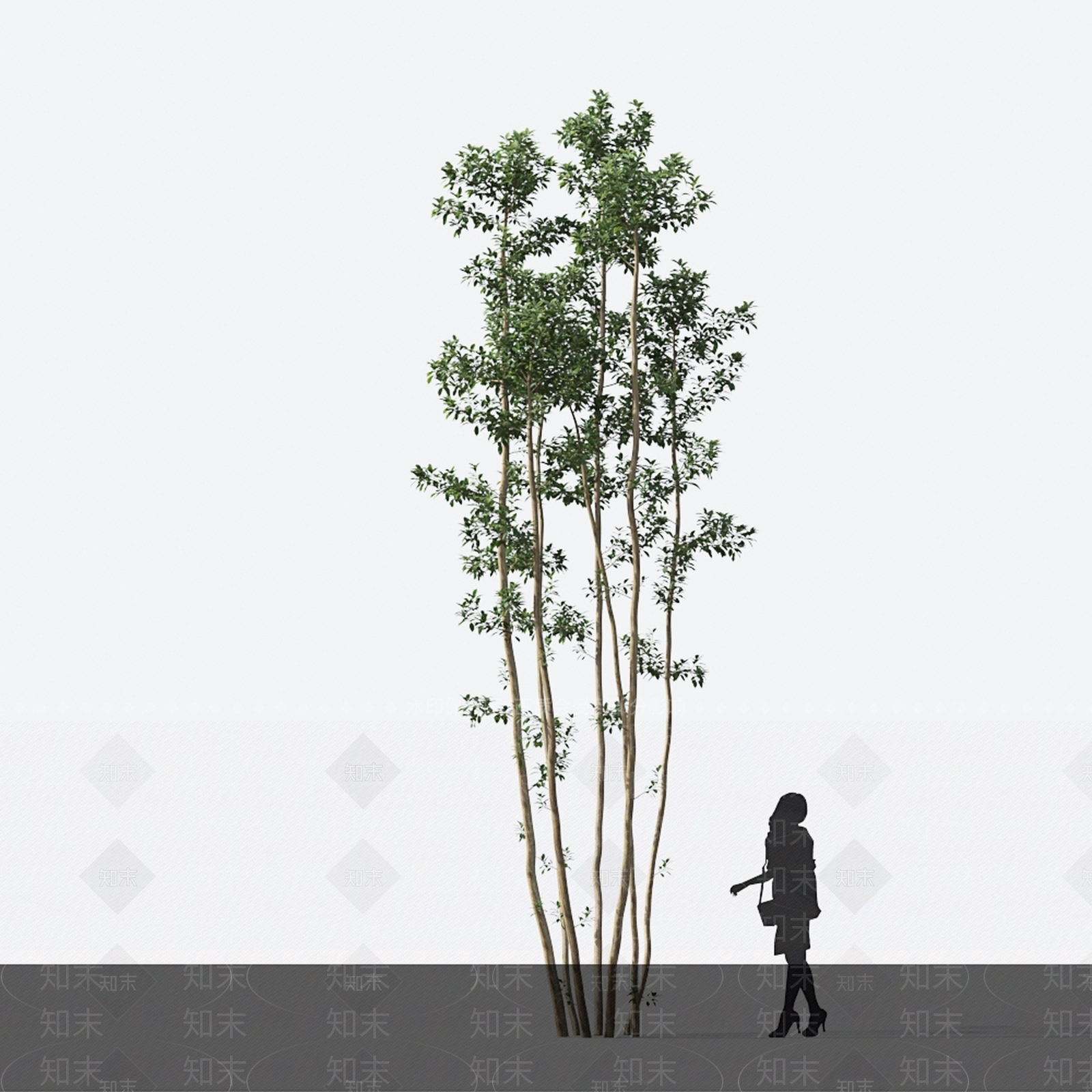 景观树3D模型下载【ID:1142983200】