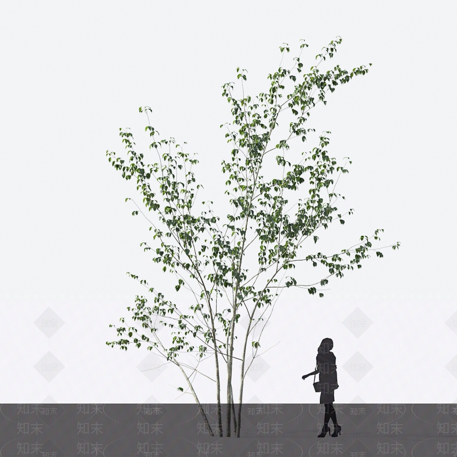 景观树3D模型下载【ID:1142999894】
