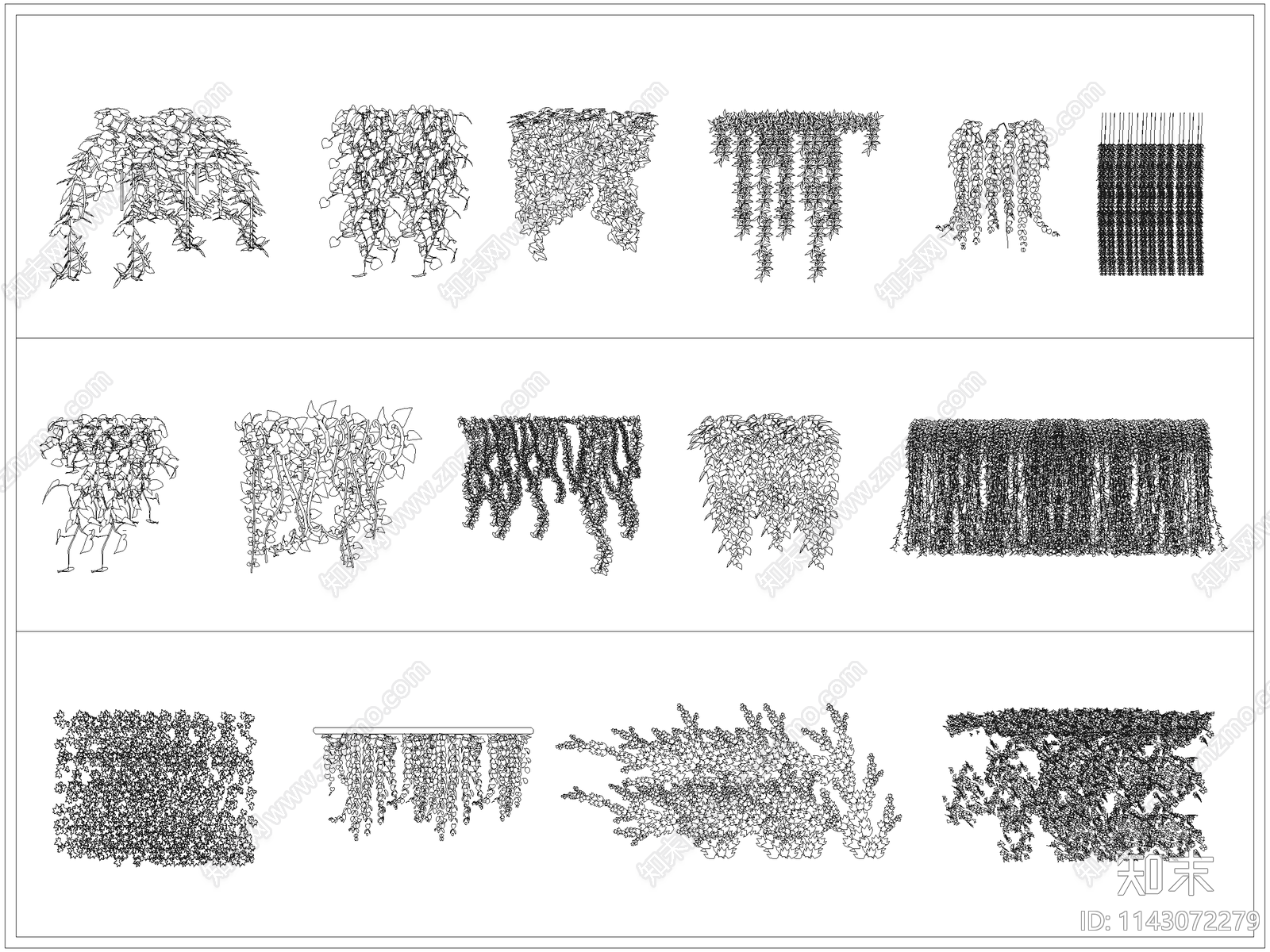 藤蔓植物爬山虎施工图下载【ID:1143072279】