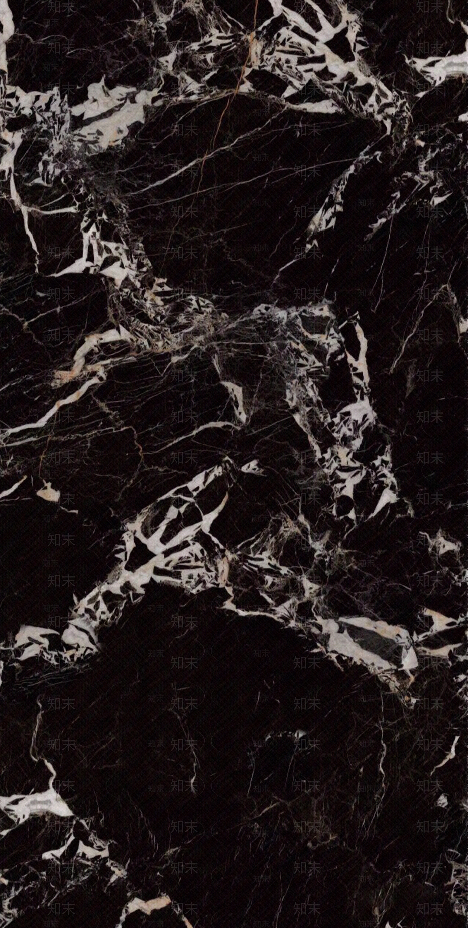 黑金花瓷砖1200贴图下载【ID:1143090295】