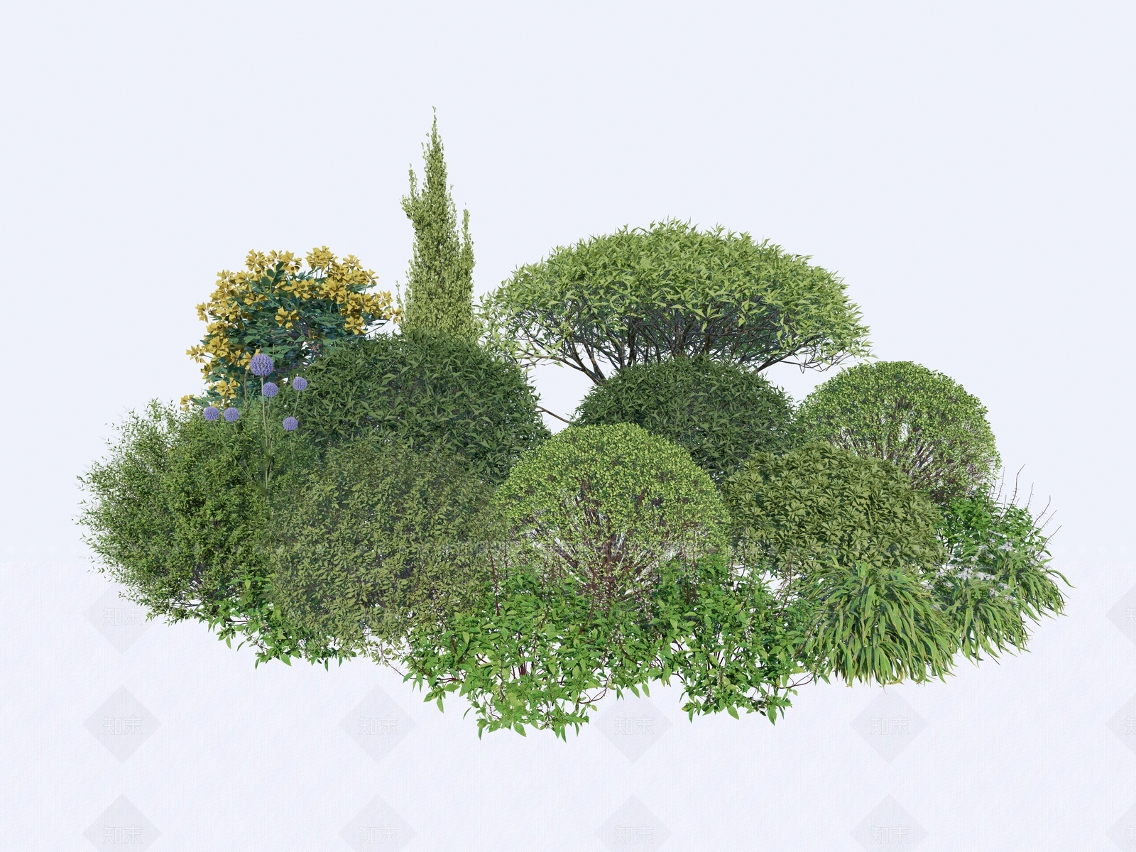 现代植物组团3D模型下载【ID:1143137734】