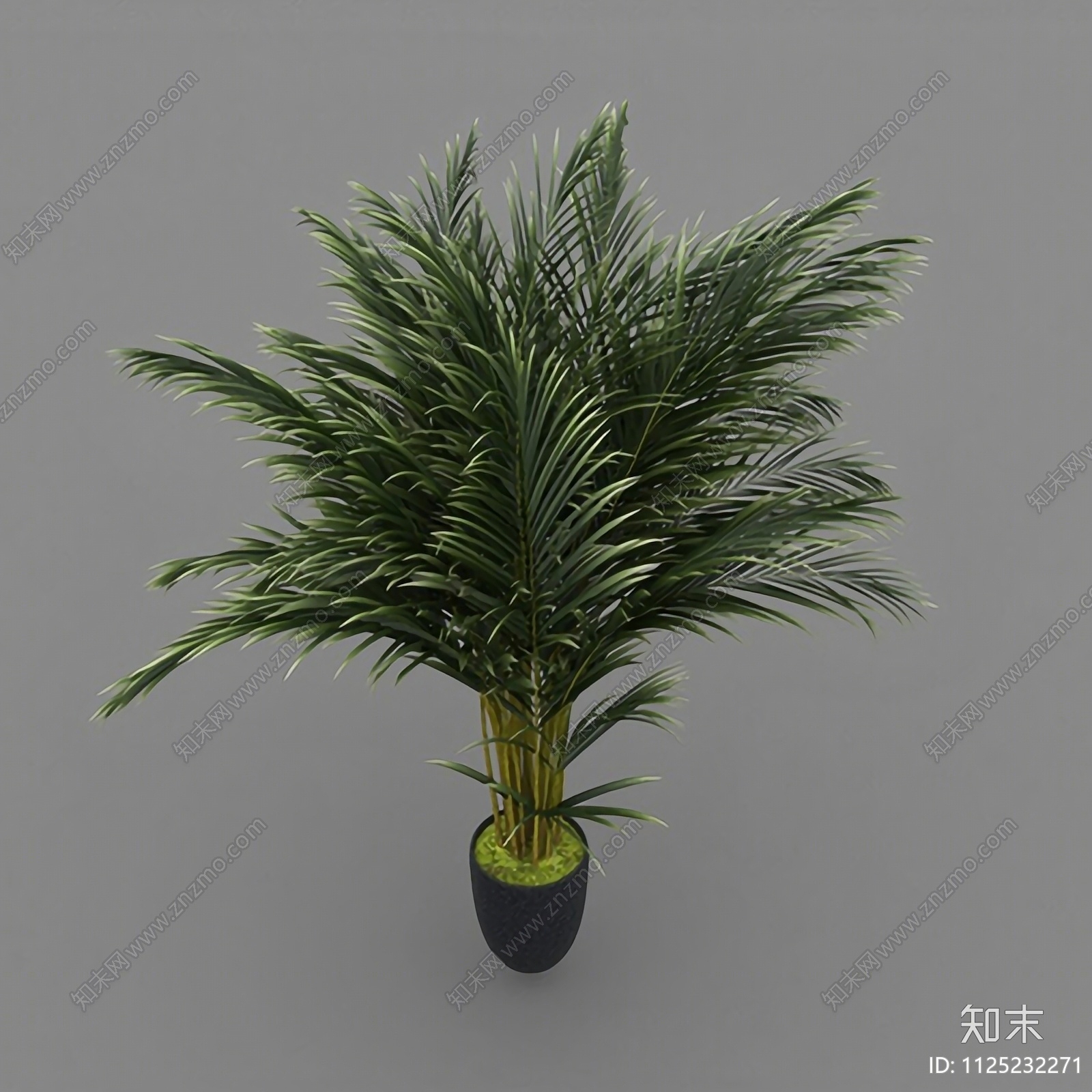 现代简约绿植盆栽3D模型下载【ID:1125232271】