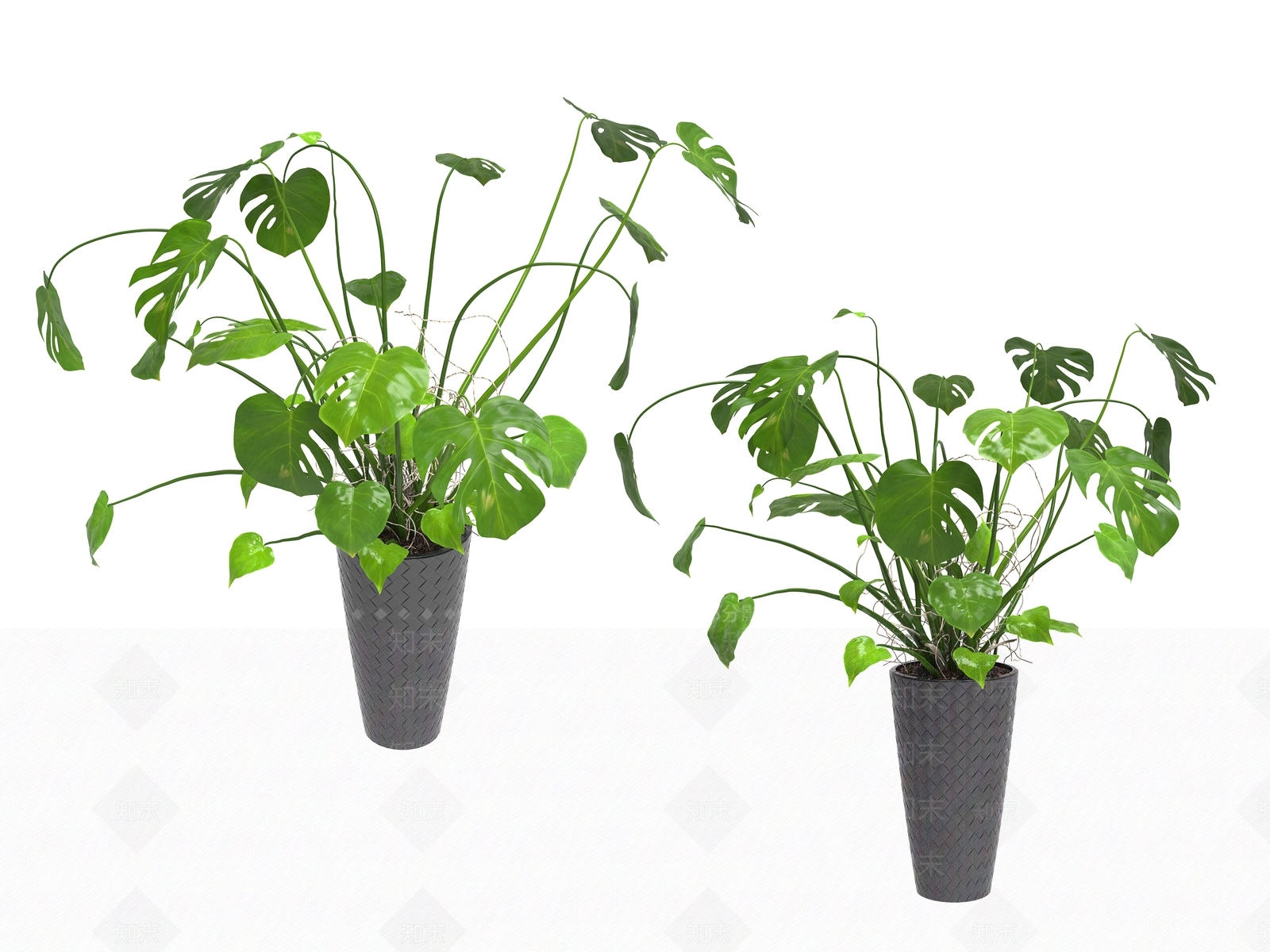 花草组合3D模型下载【ID:1143169347】