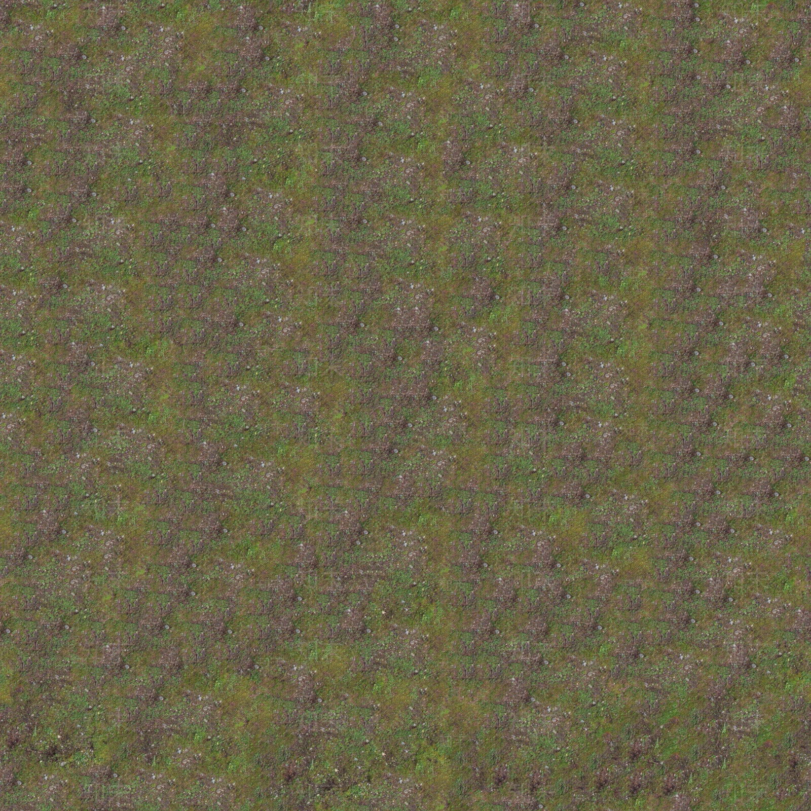 无缝青苔裸露地面贴图下载【ID:1143174038】