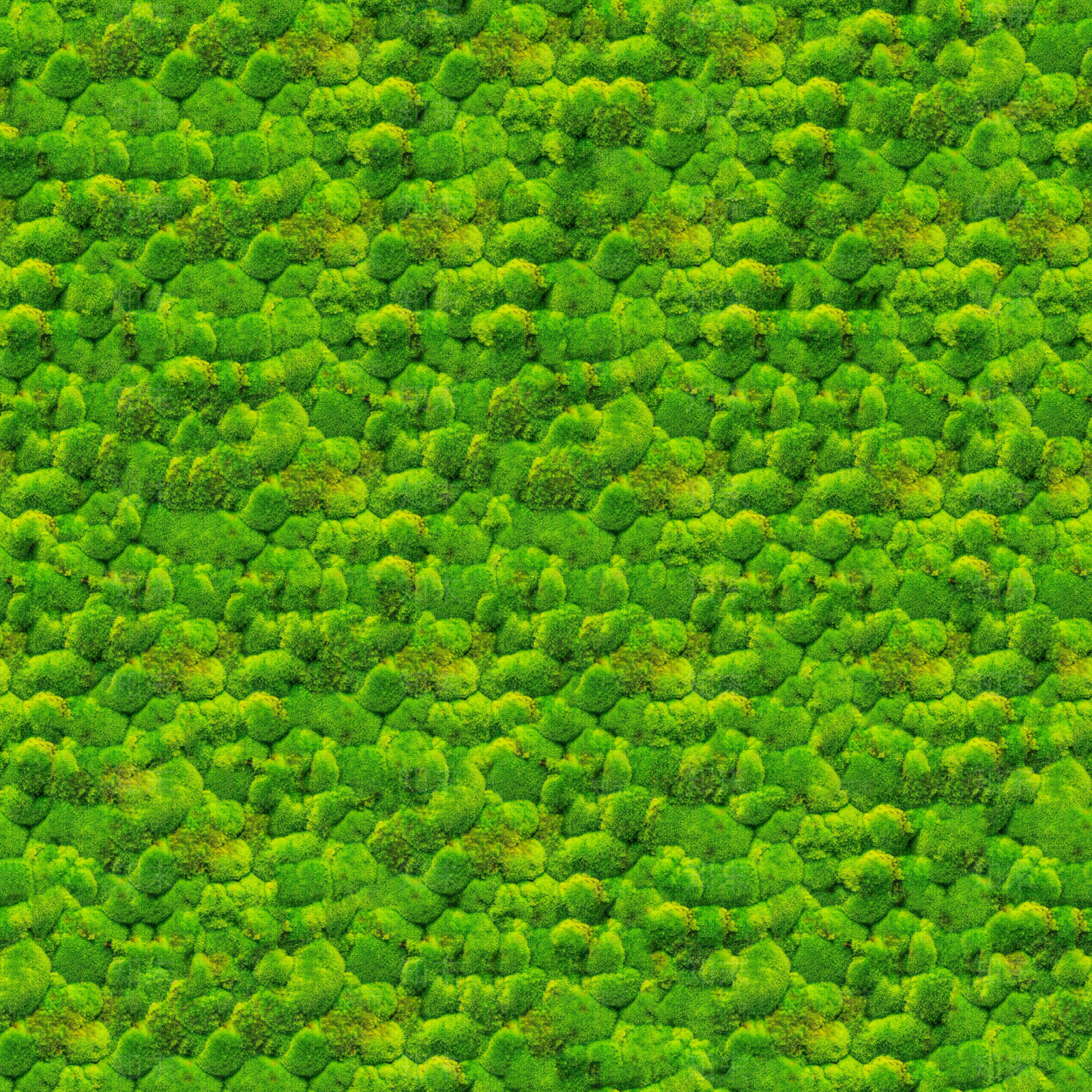 无缝绿色苔藓青苔贴图下载【ID:1143174448】