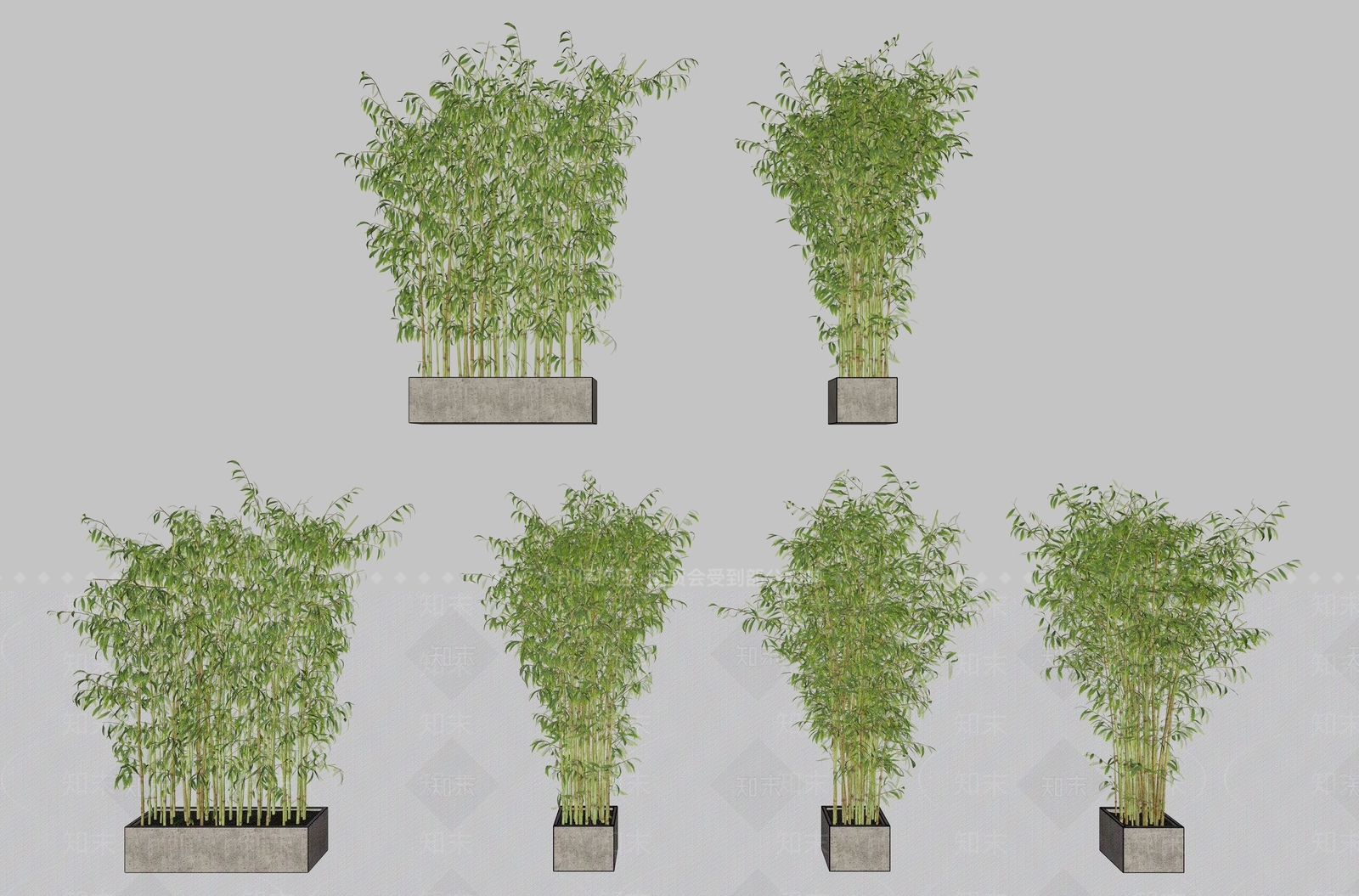 竹子斑竹盆栽组合SU模型下载【ID:1143247039】