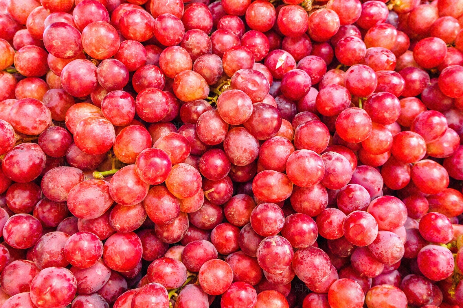 葡萄水果素材贴图下载【ID:1143274391】
