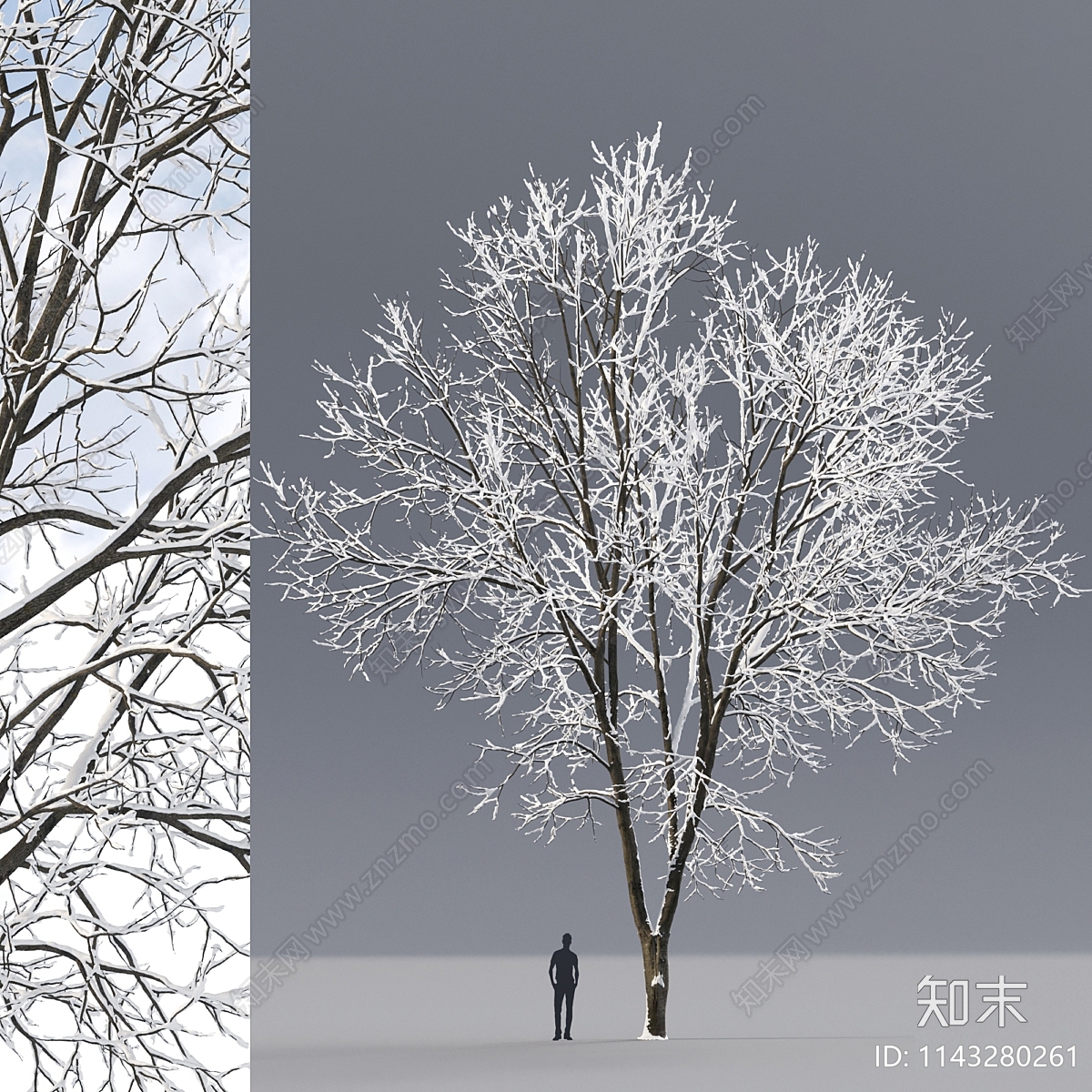 现代景观树3D模型下载【ID:1143280261】