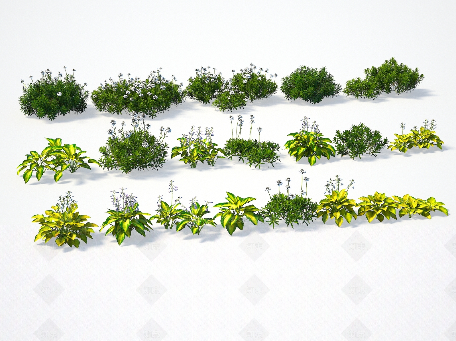 植物3D模型下载【ID:1143324785】