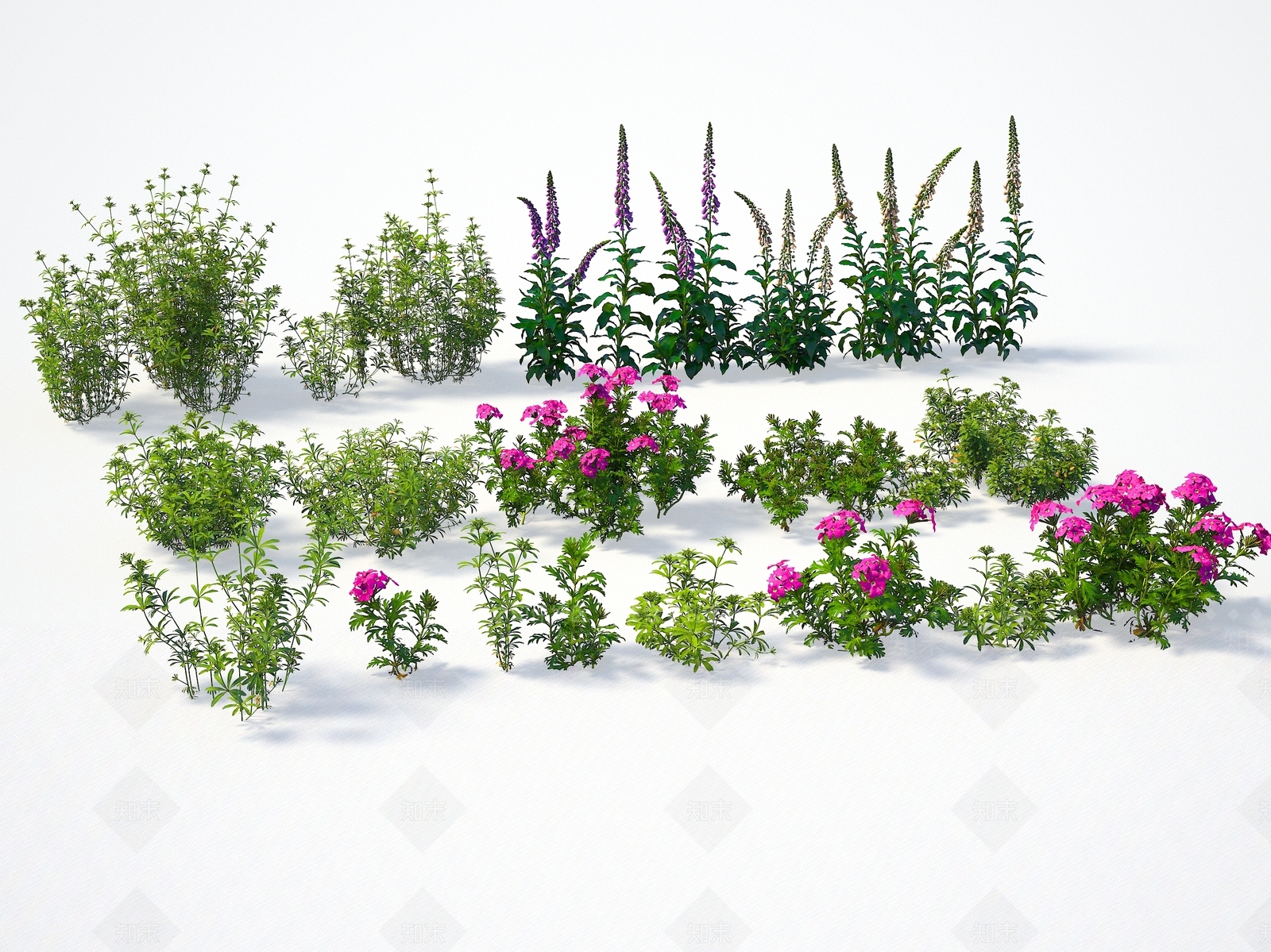 植物3D模型下载【ID:1143324727】