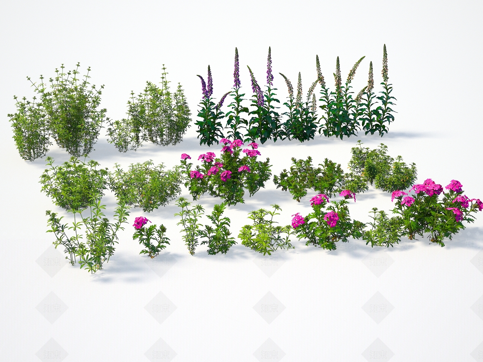 植物3D模型下载【ID:1143325031】