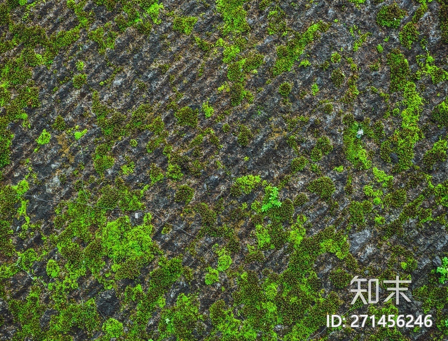自然地面高清贴图材质