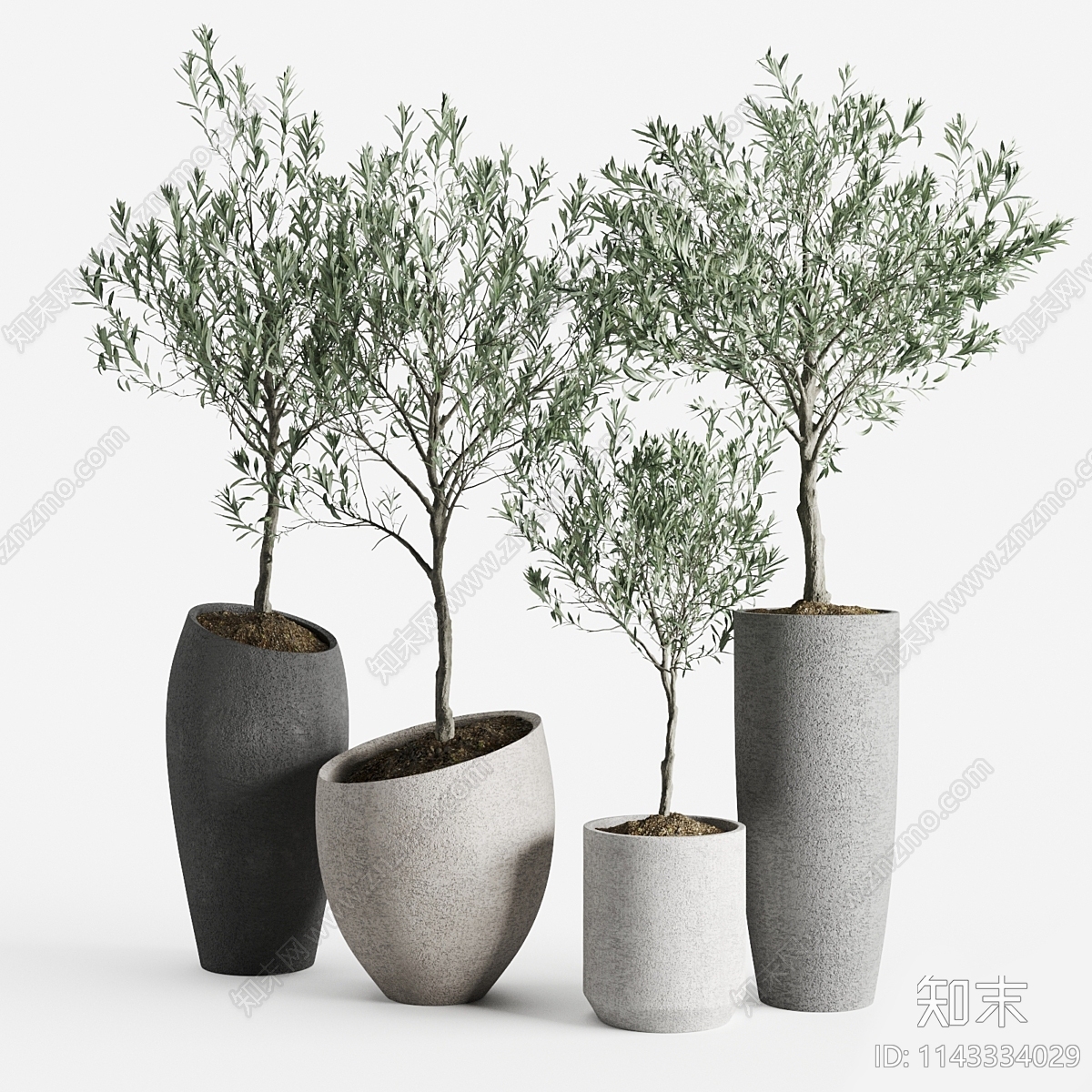 侘寂植物盆栽组合3D模型下载【ID:1143334029】