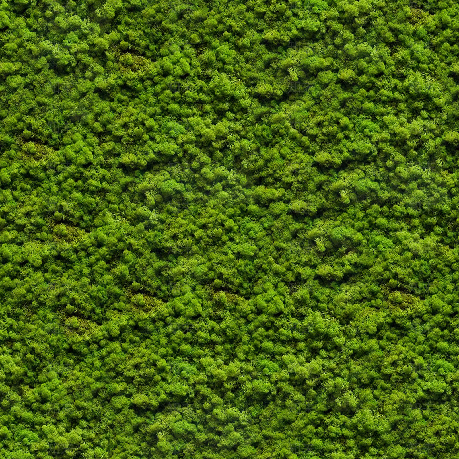 高清绿植球贴图下载【ID:1143343335】