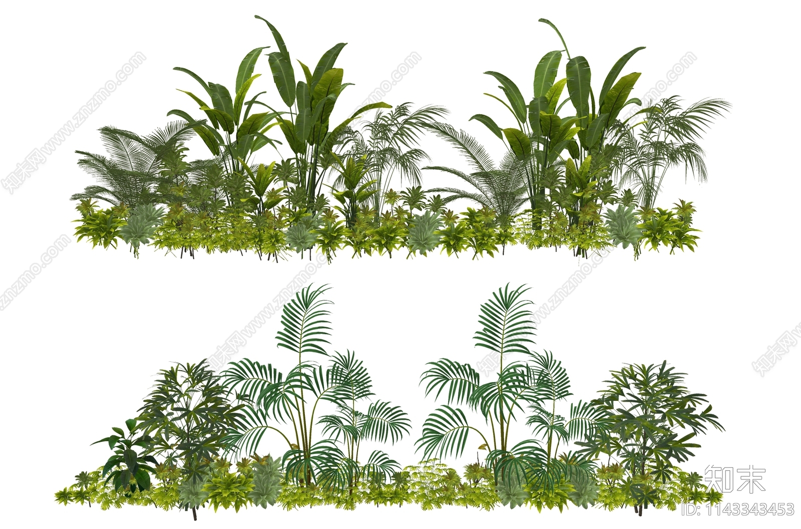 阔叶花境SU模型下载【ID:1143343453】