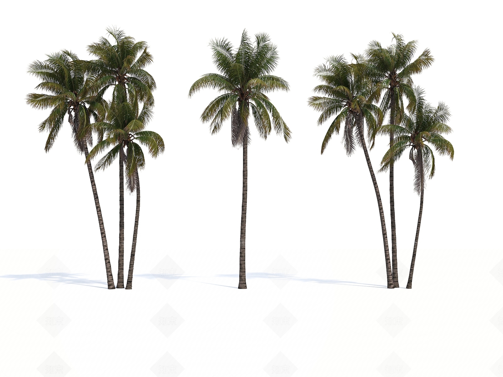 椰子树3D模型下载【ID:1143363223】