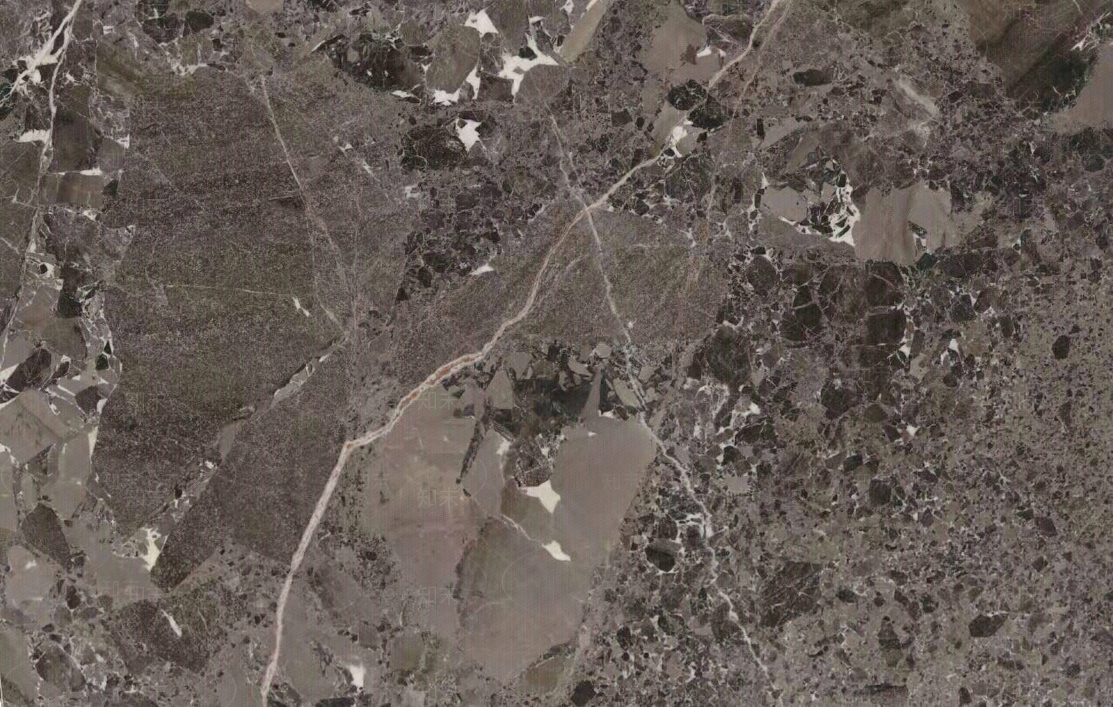 大理石维亚灰乱纹网状贴图下载【ID:1143368520】