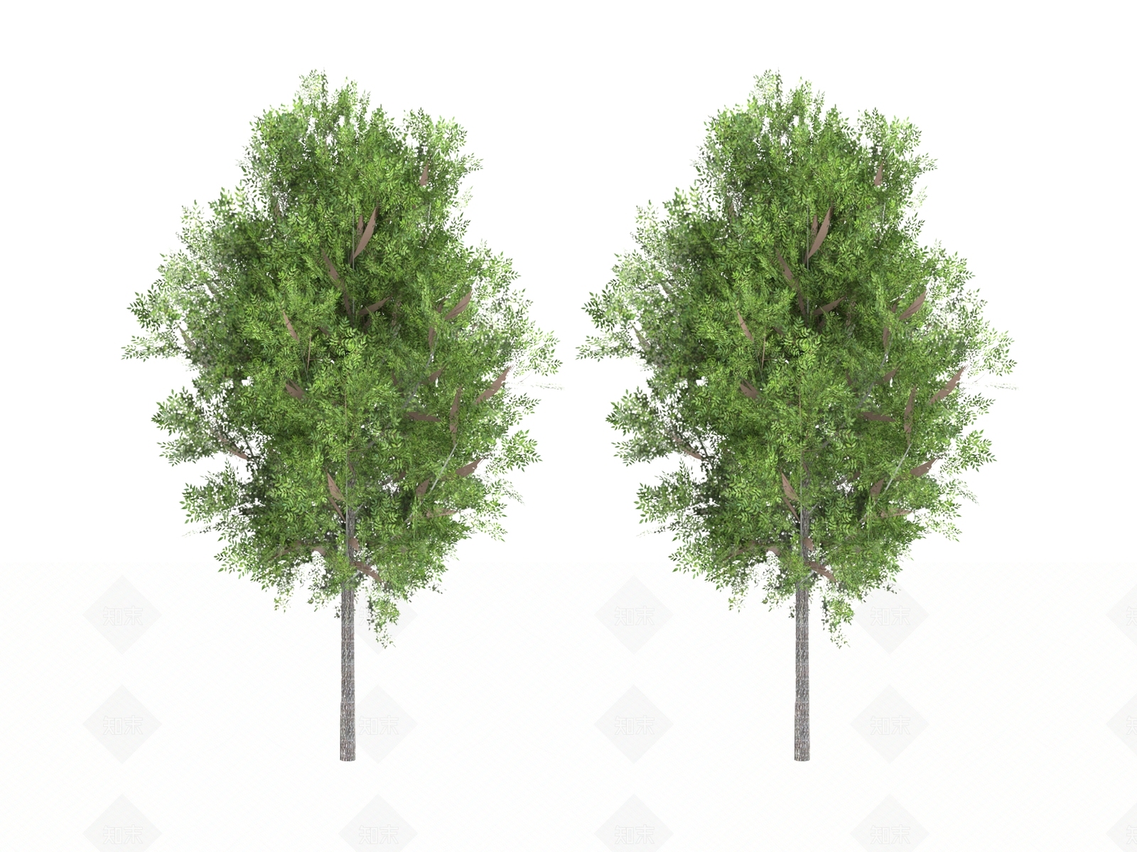 其他树木3D模型下载【ID:1143379748】
