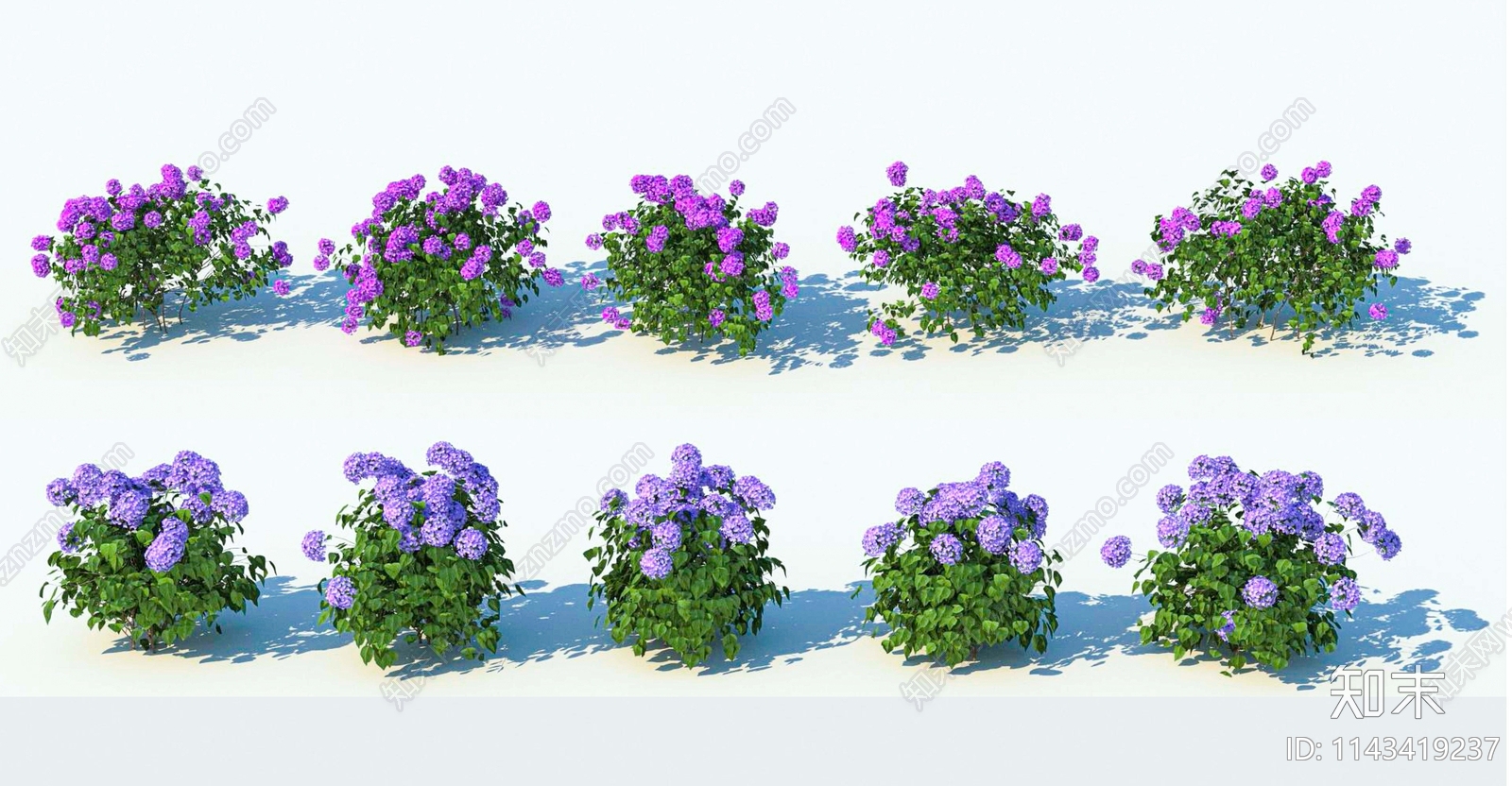 现代景观灌木花3d模型下载3D模型下载【ID:1143419237】