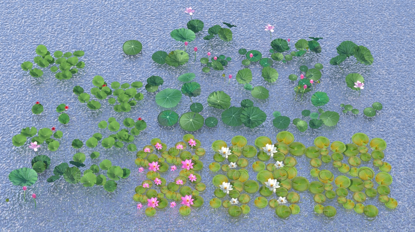 荷花3D模型下载【ID:1143422032】