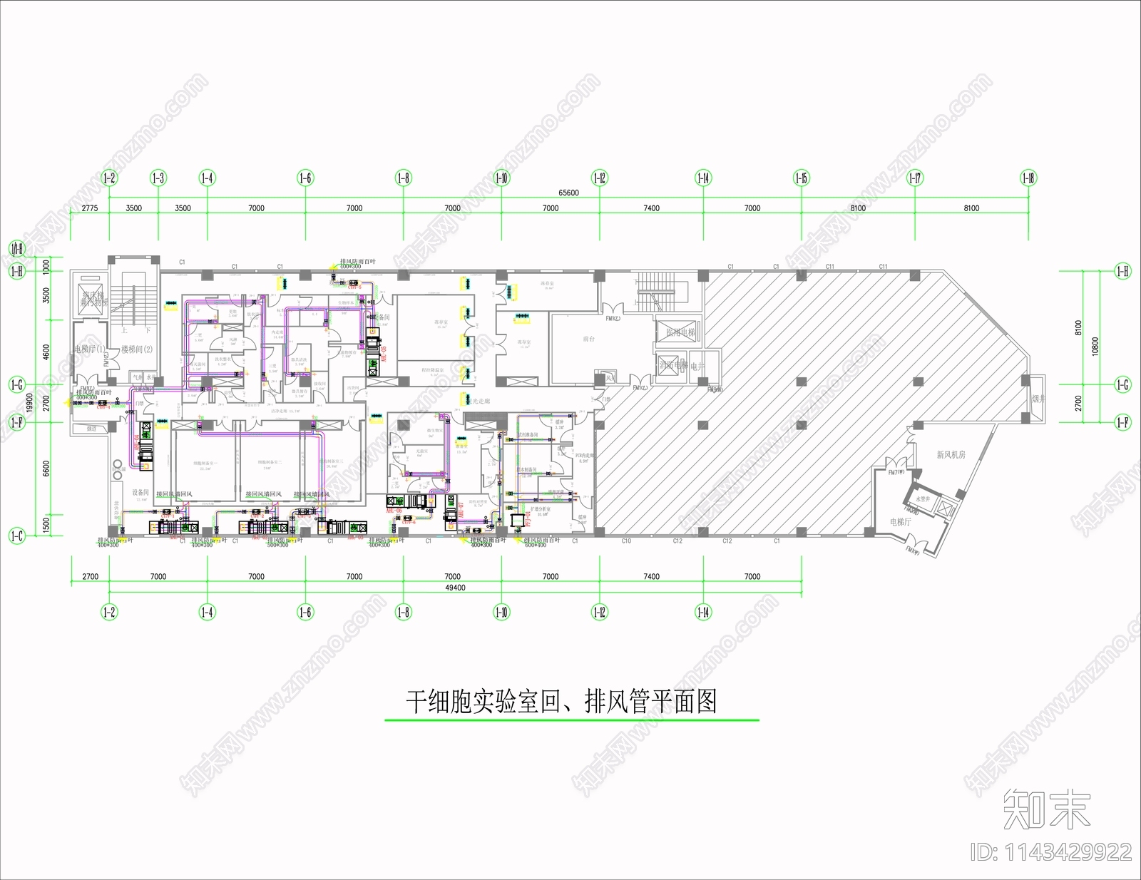 干细胞实验室装饰装修电气给排水暖通空调通风cad施工图下载【ID:1143429922】