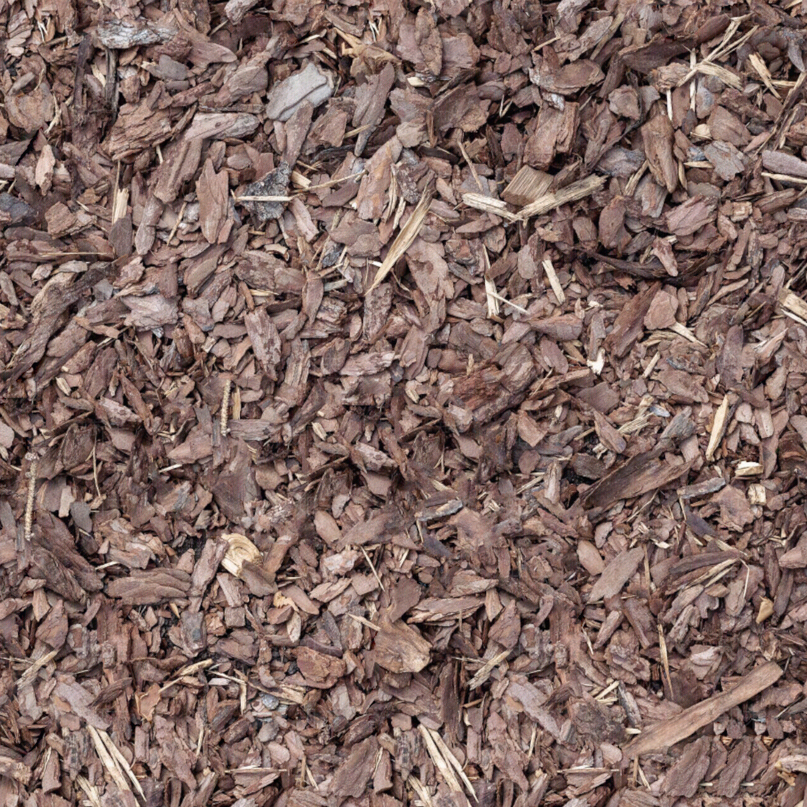 园林景观松树皮贴图贴图下载【ID:1143449055】