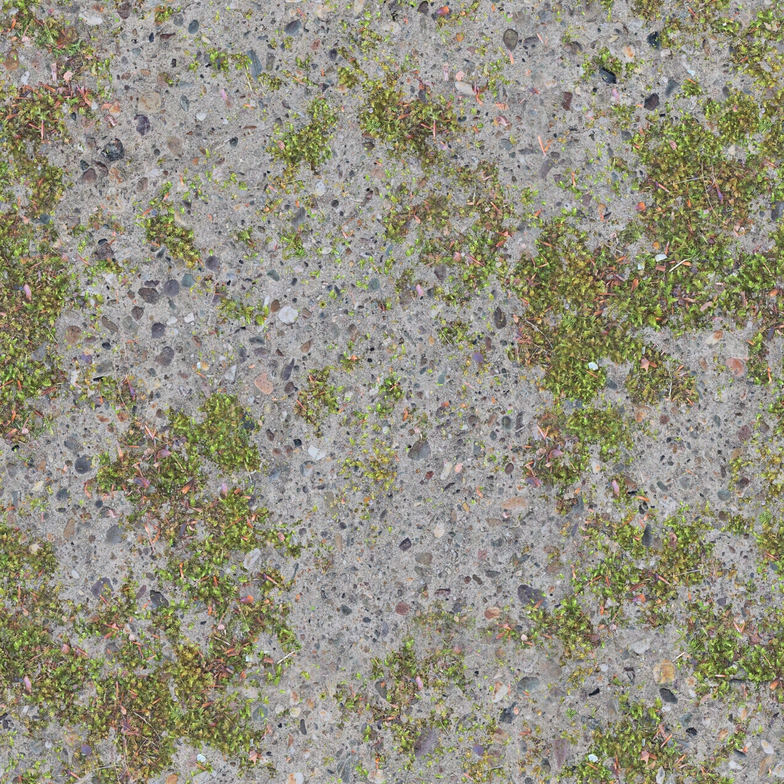 无缝高清真实草地草皮泥土土壤嵌草草皮地面贴图下载【ID:1143478139】