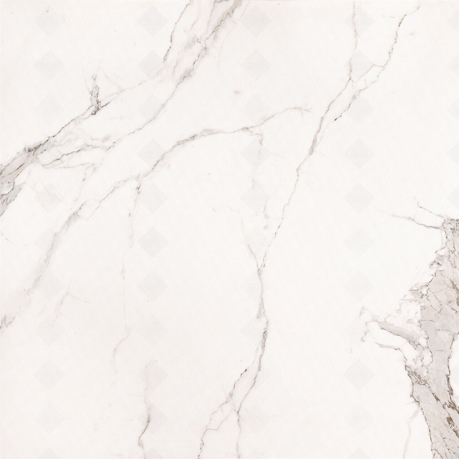 鱼肚白大理石瓷砖贴图下载【ID:1143494086】