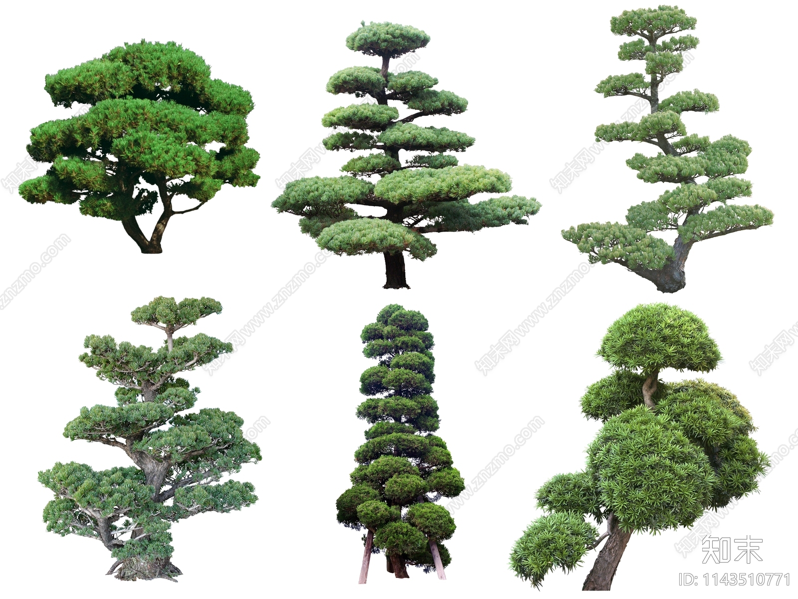 PSD免抠景观树贴图下载【ID:1143510771】_【知末网贴图库】