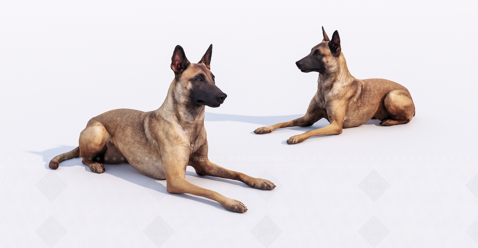 狗SU模型下载【ID:1143525331】