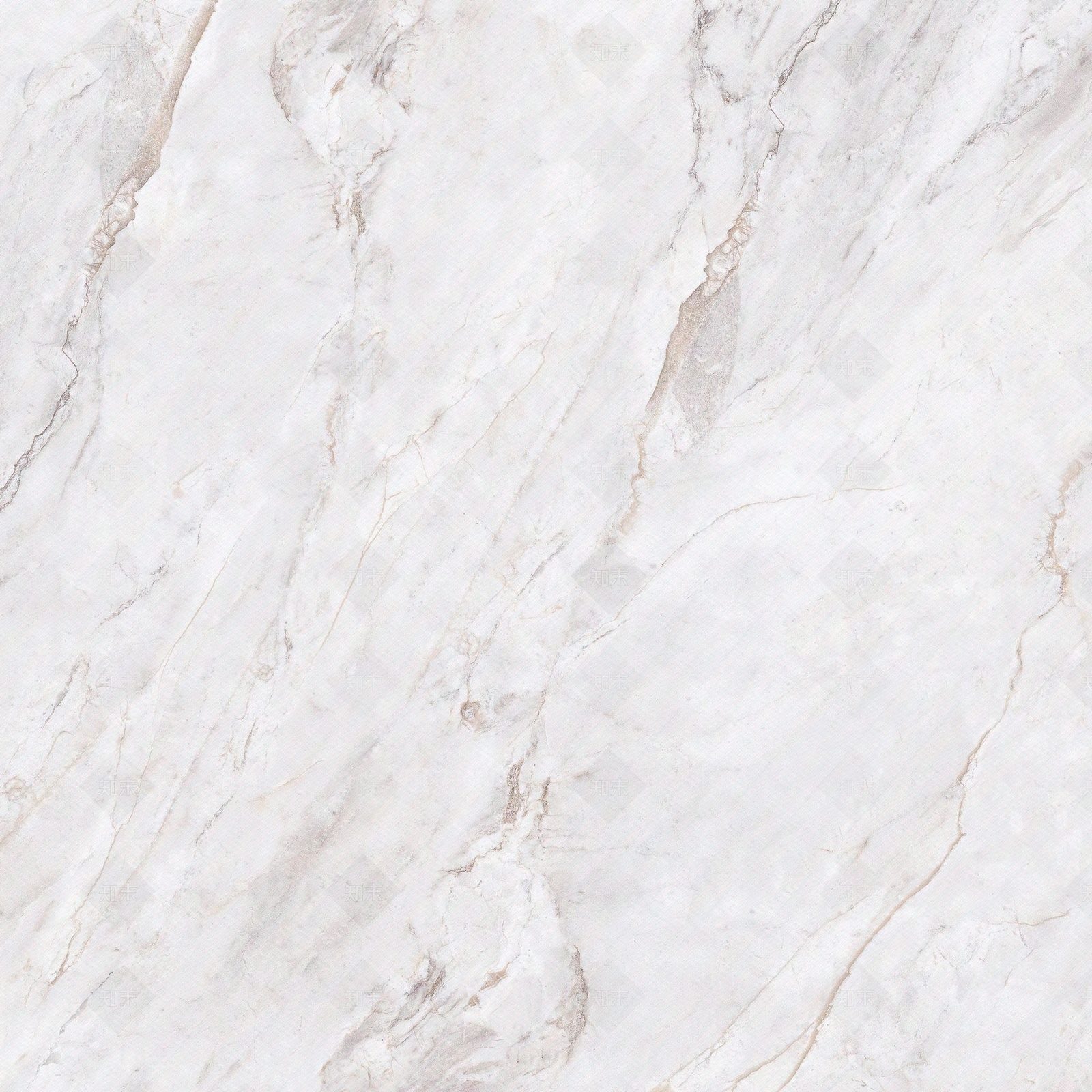 菲格拉慕白大理石瓷砖贴图下载【ID:1143553514】