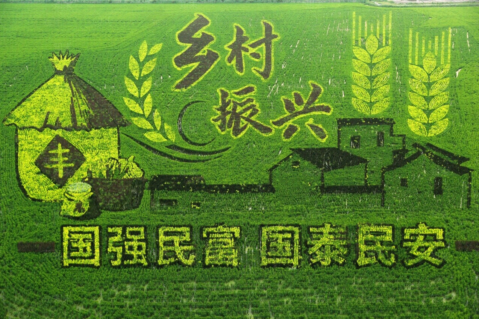 稻田农田田园景观贴图下载【ID:1143579717】